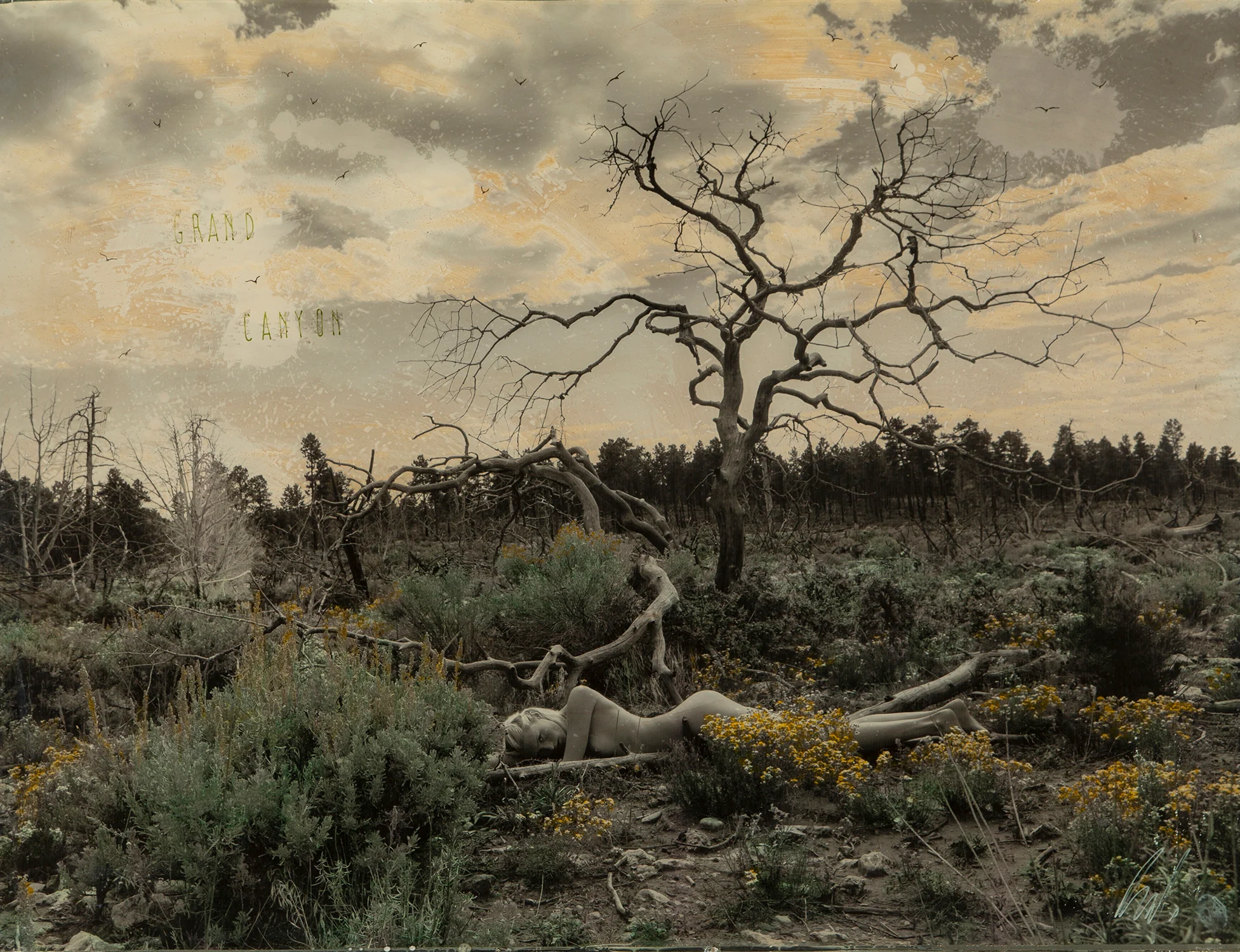 Grand Canyon 1 - Image 4