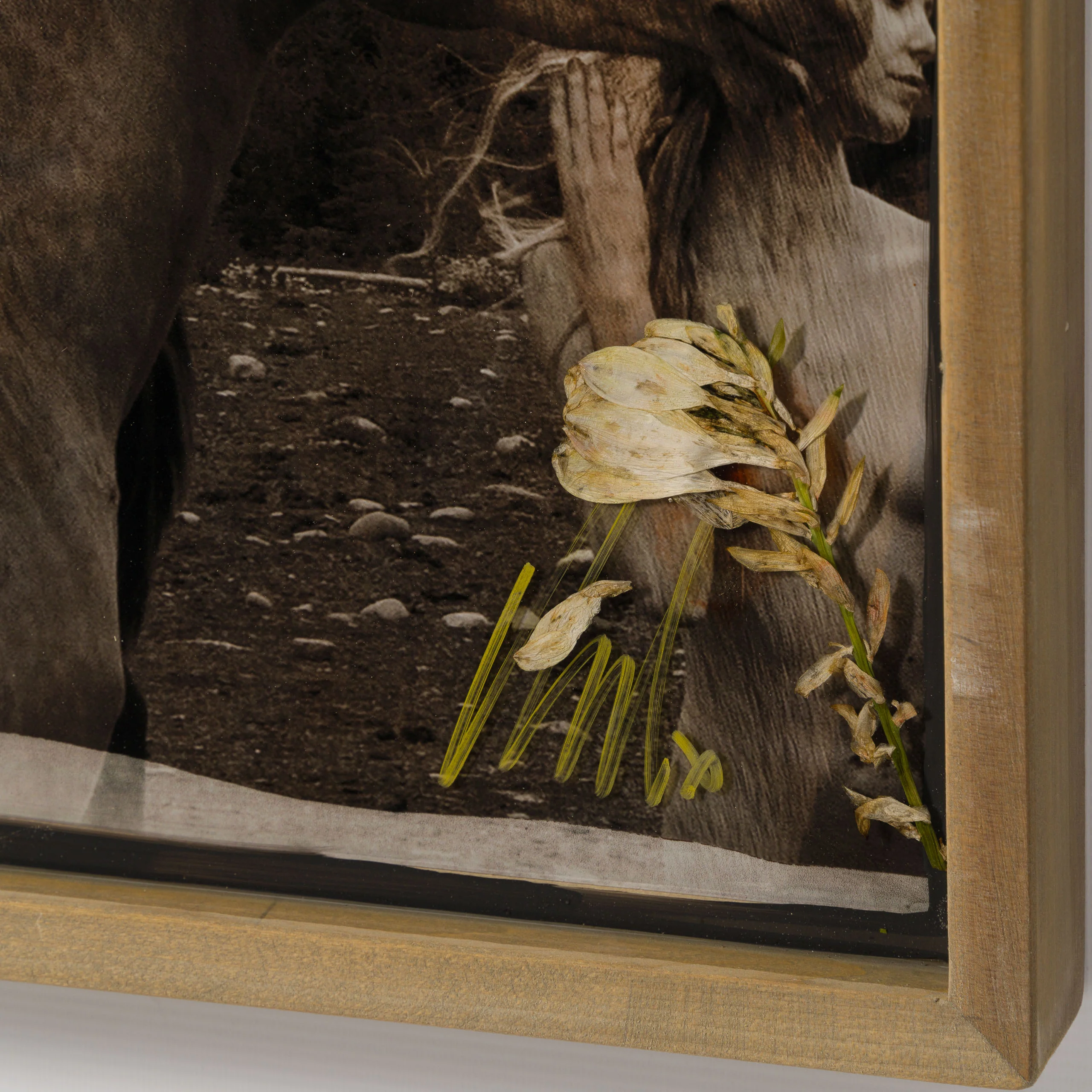 Guide Me Home - Image 5
