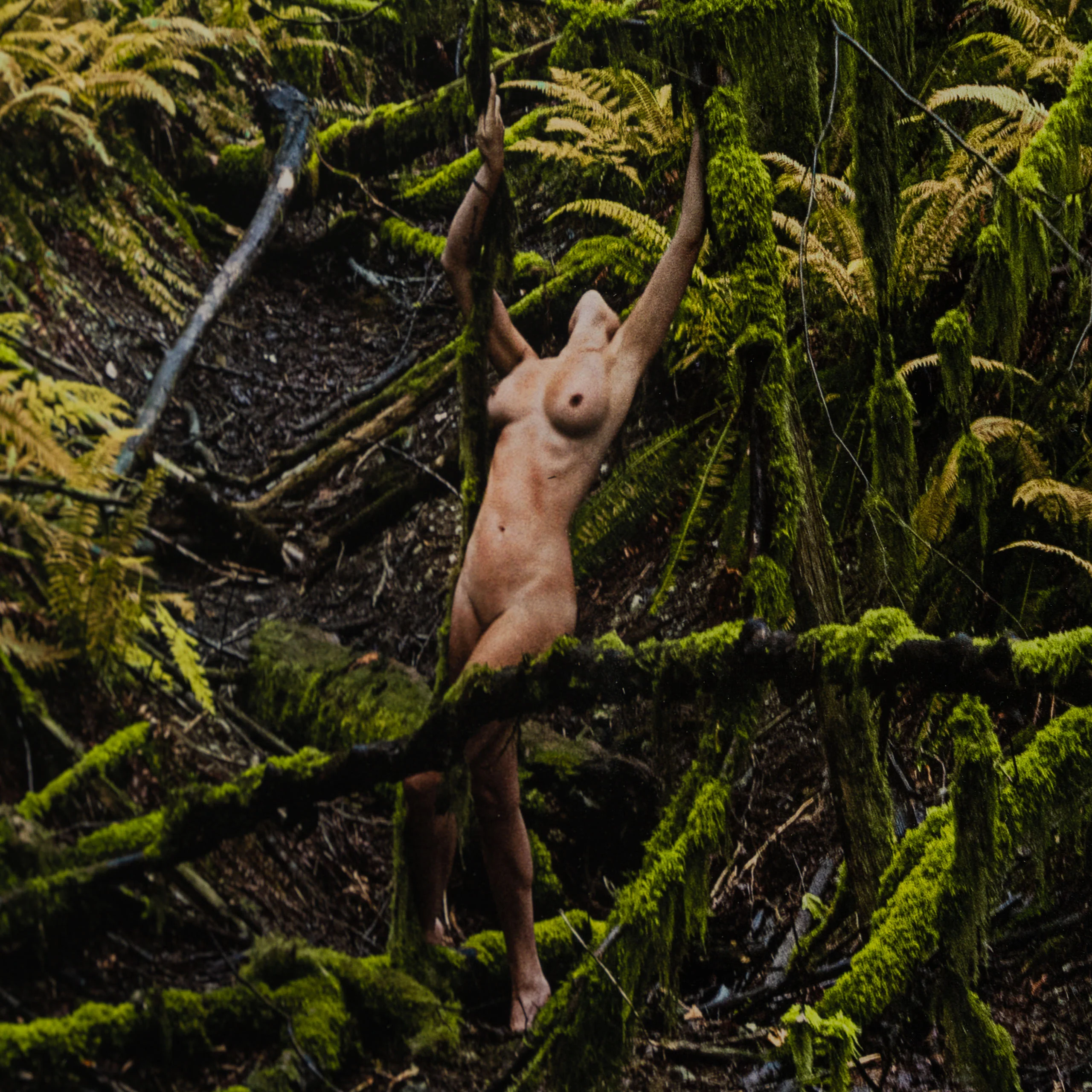 Jungle Mistress - Image 5