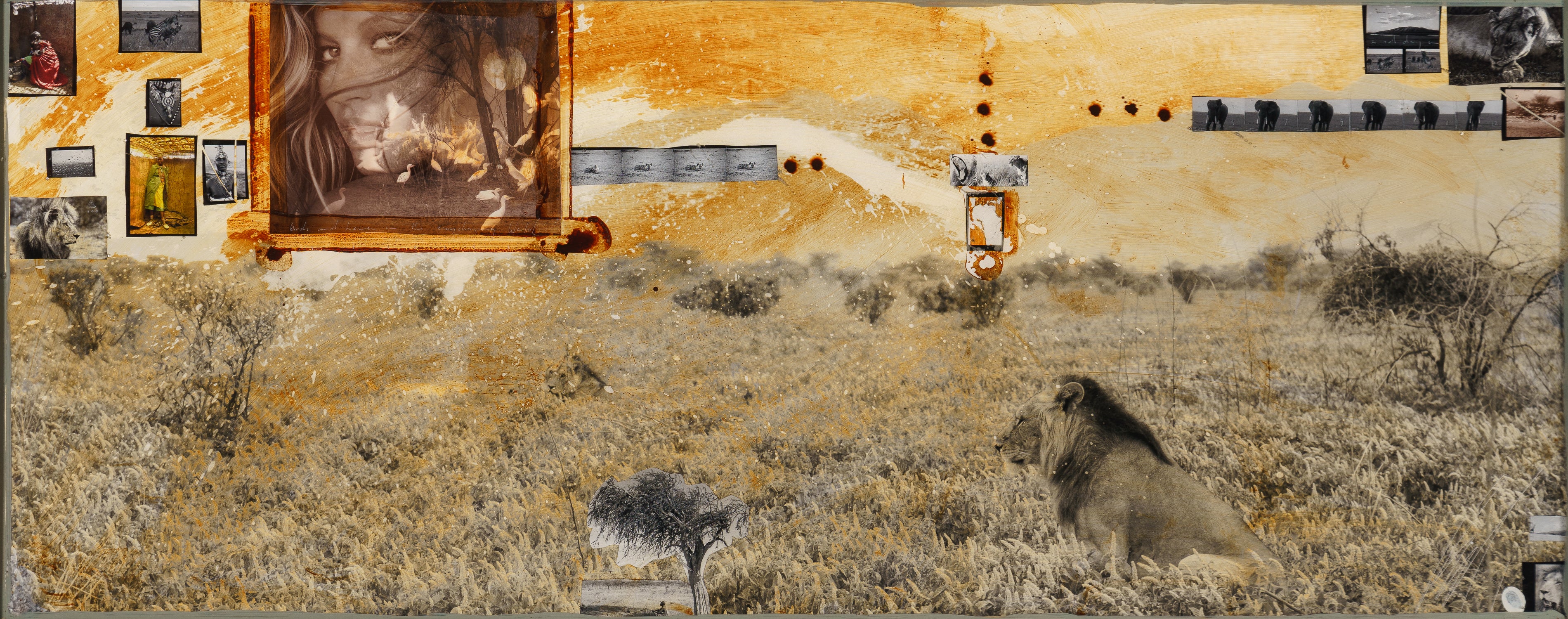 Kulinda - Image 3