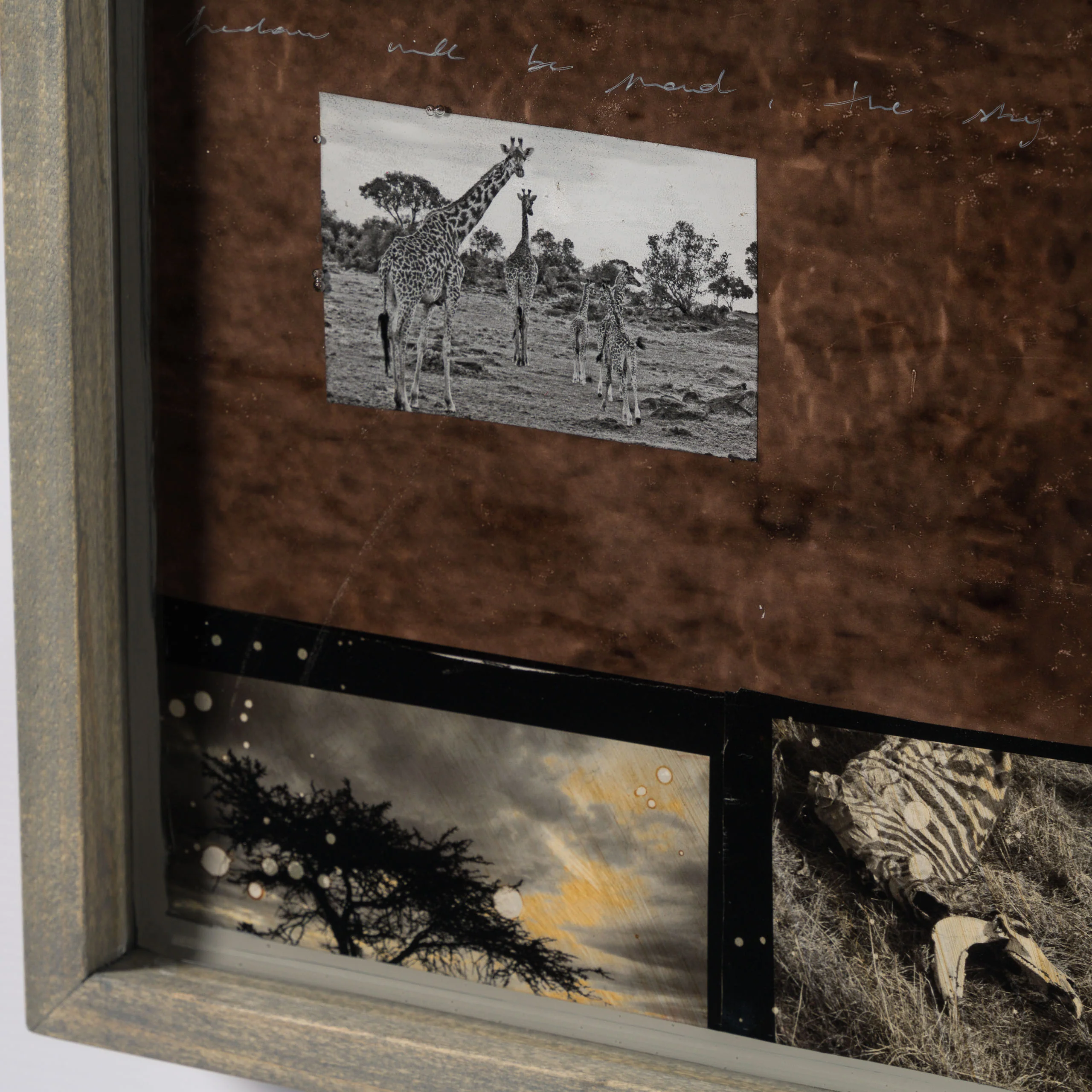 Livre (Free) - Image 4