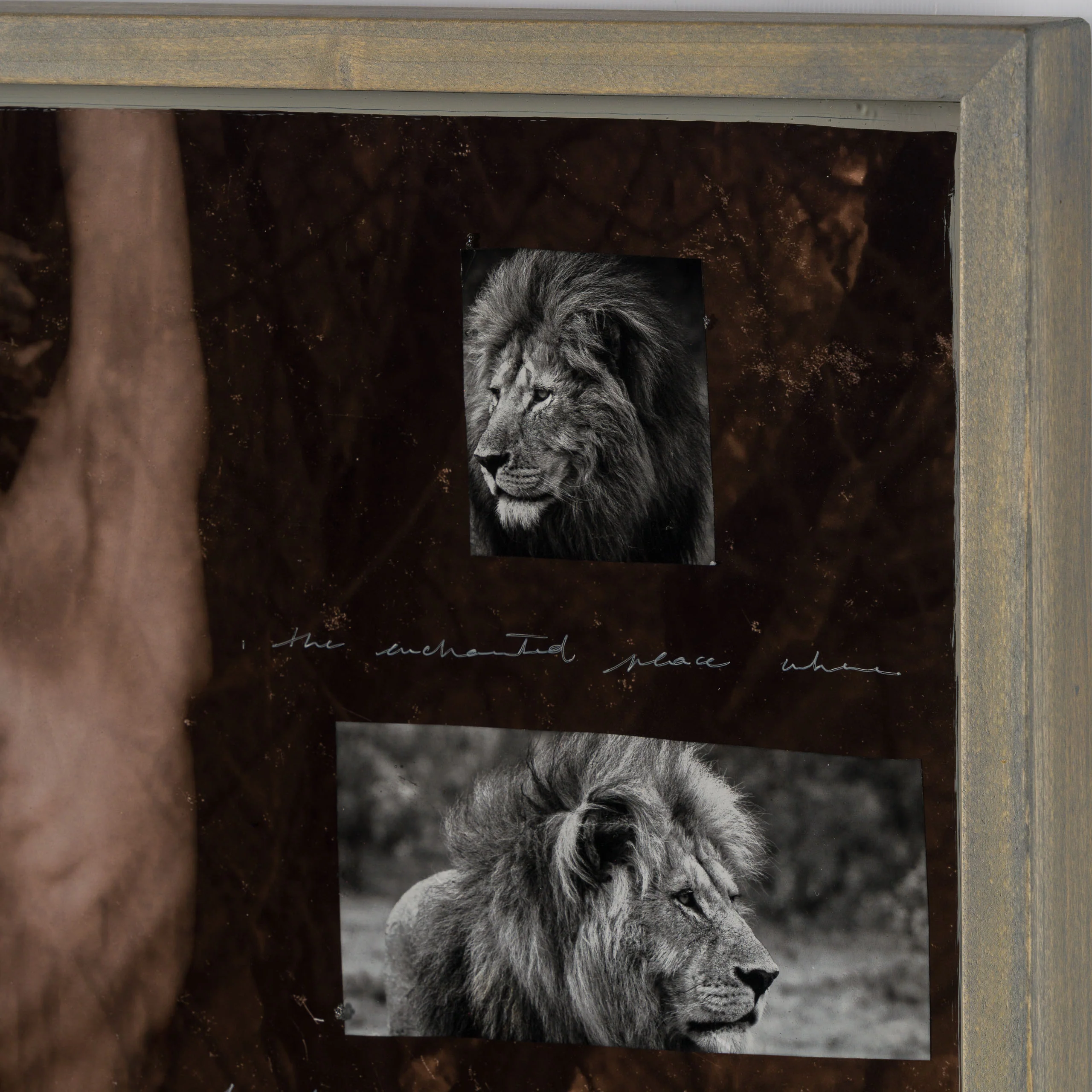 Livre (Free) - Image 5