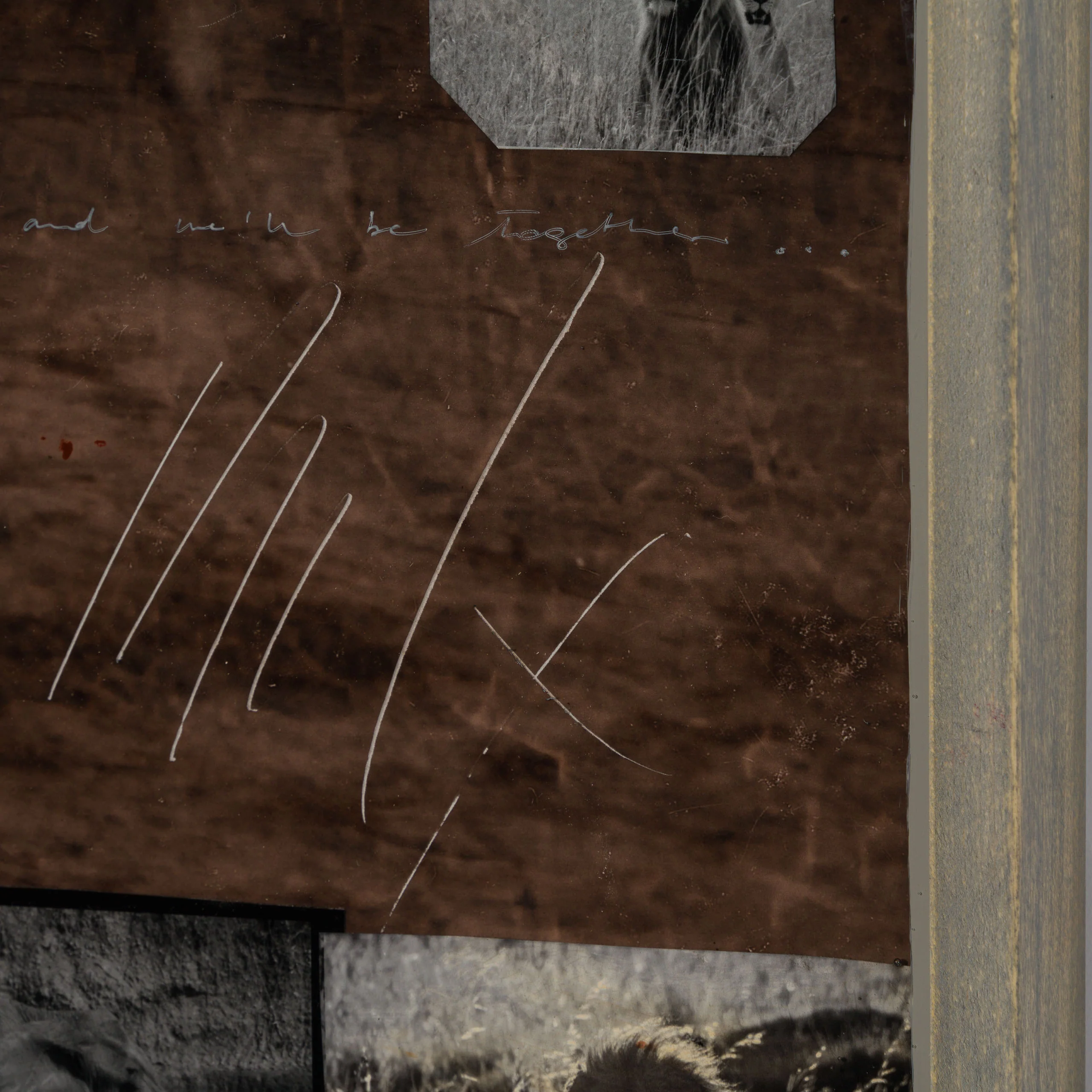 Livre (Free) - Image 6