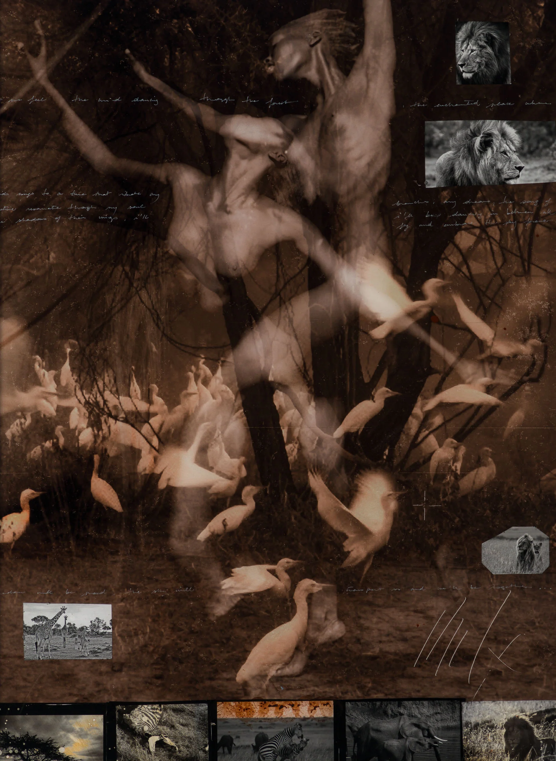 Livre (Free) - Image 7