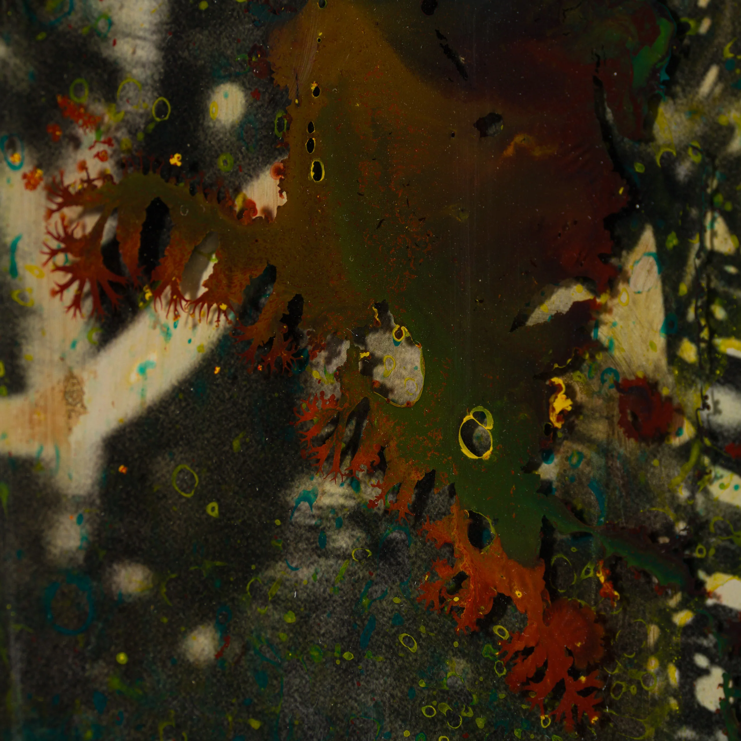 Lor - Image 4