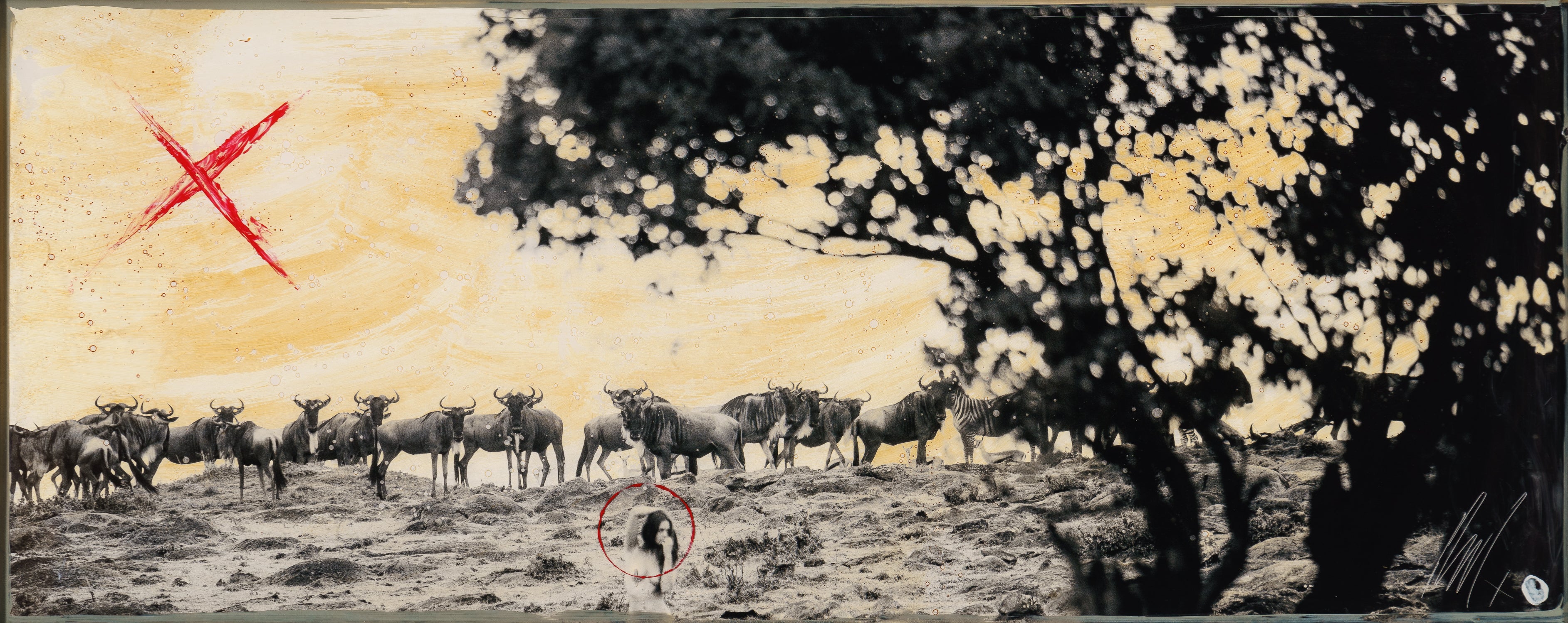 Malisho - Image 3