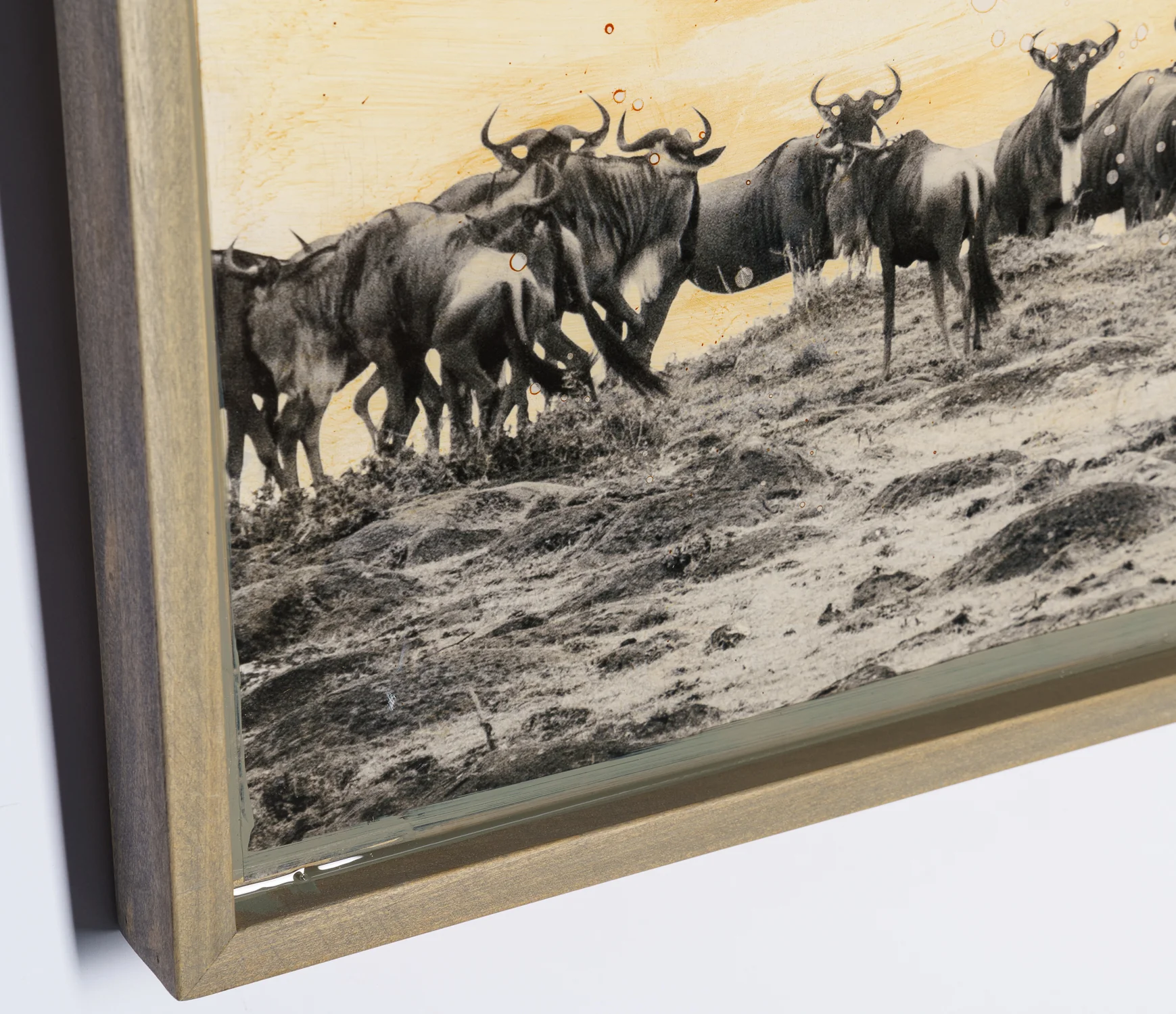 Malisho - Image 6