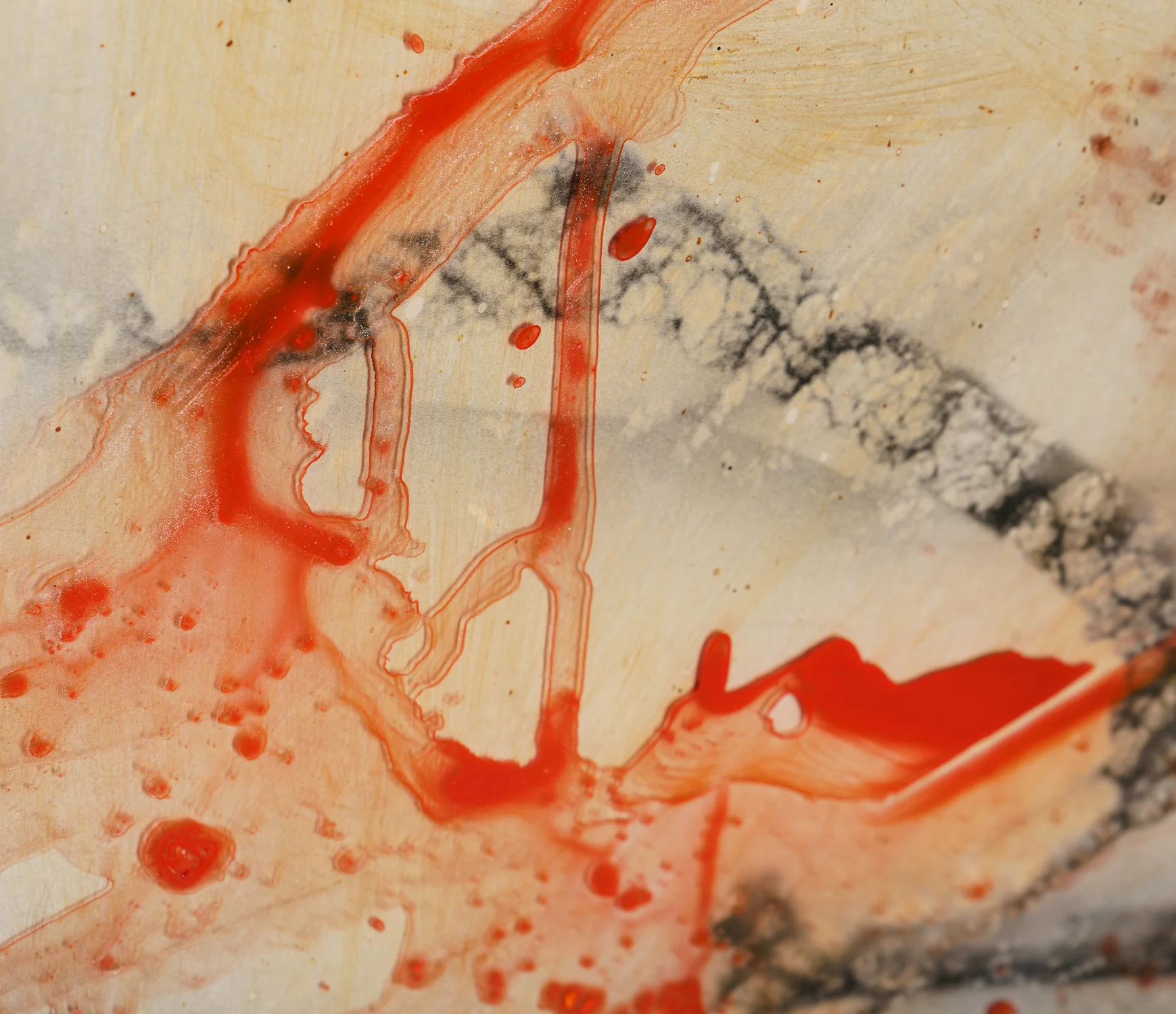 Mara 1 - Image 4