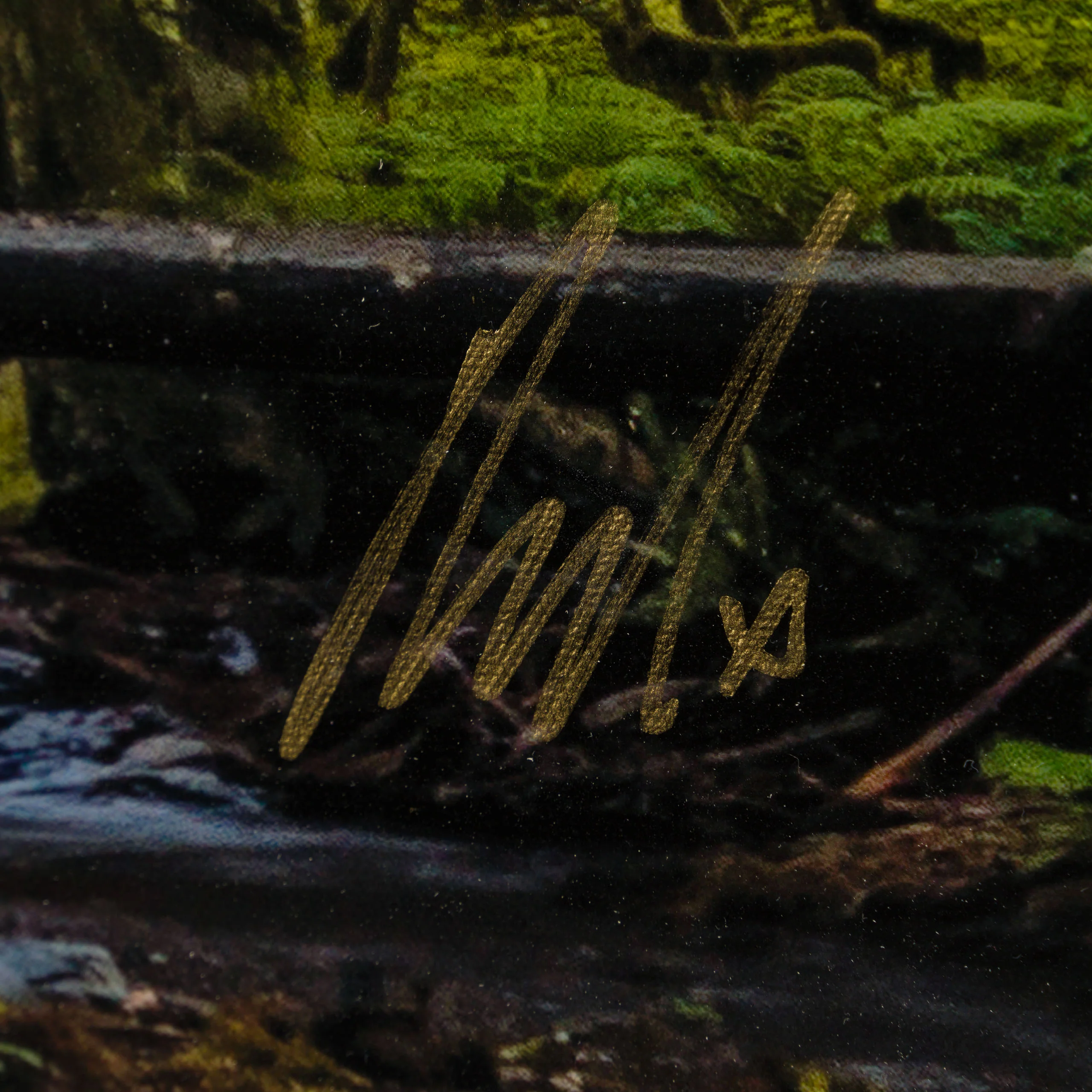 Mossy Abandon - Image 4