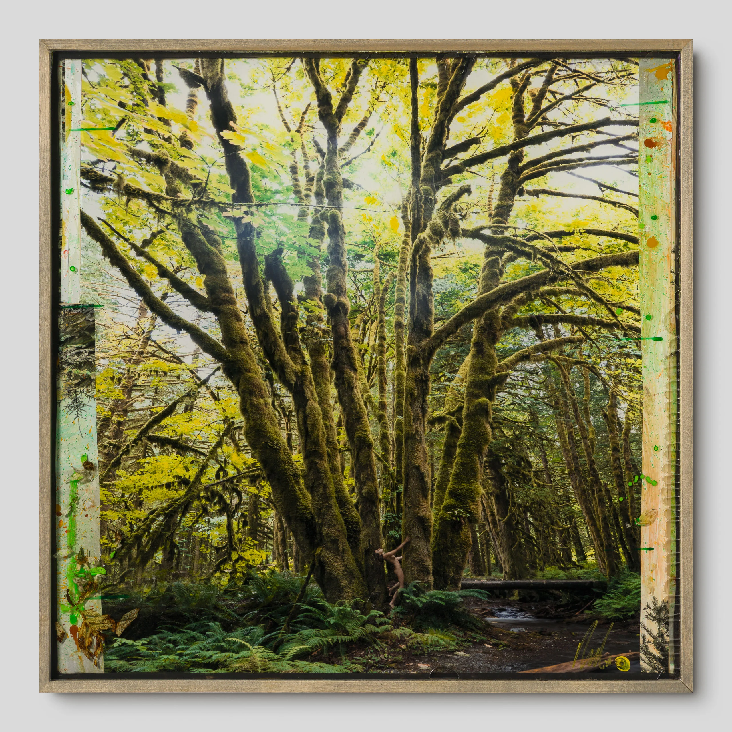 Mossy Abandon