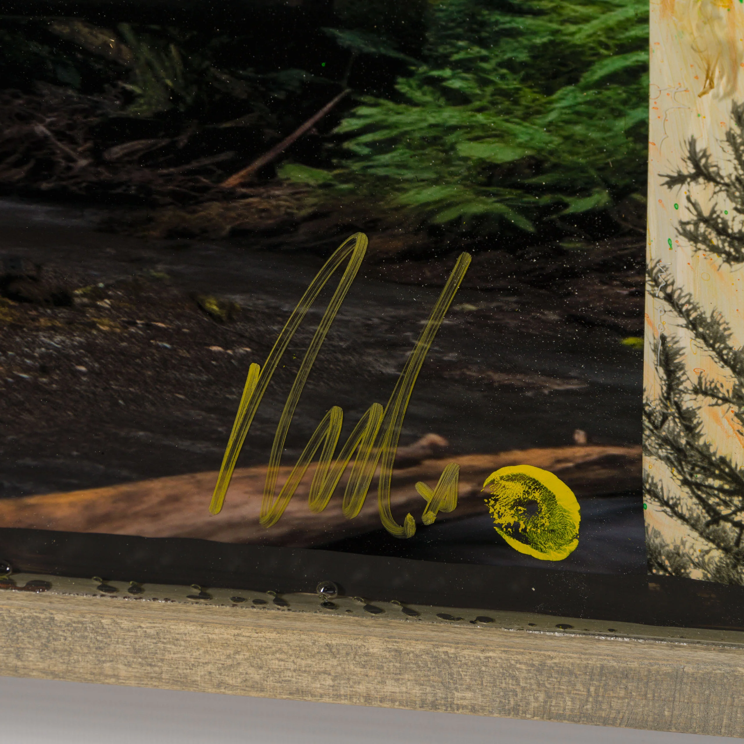 Mossy Abandon - Image 3