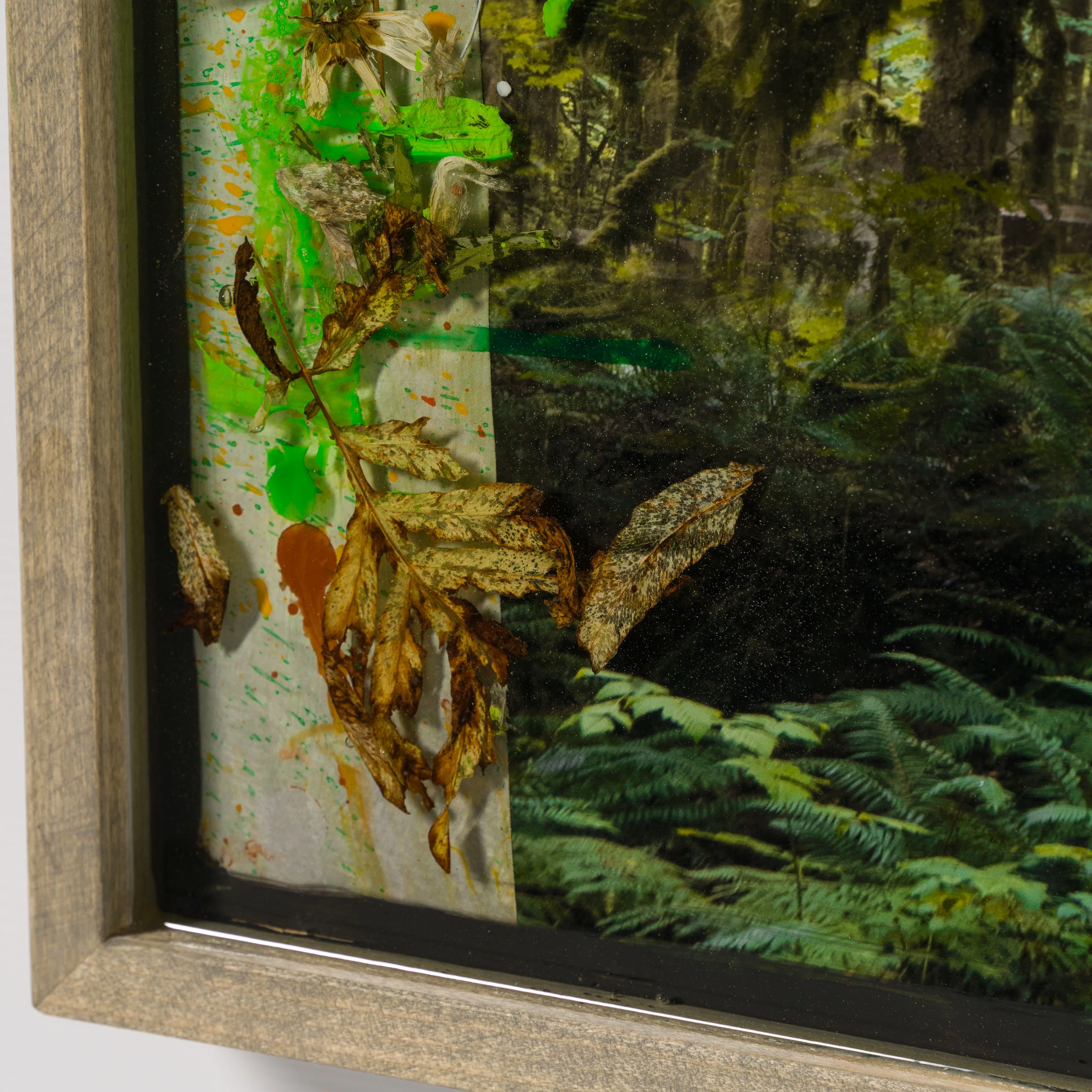 Mossy Abandon - Image 4