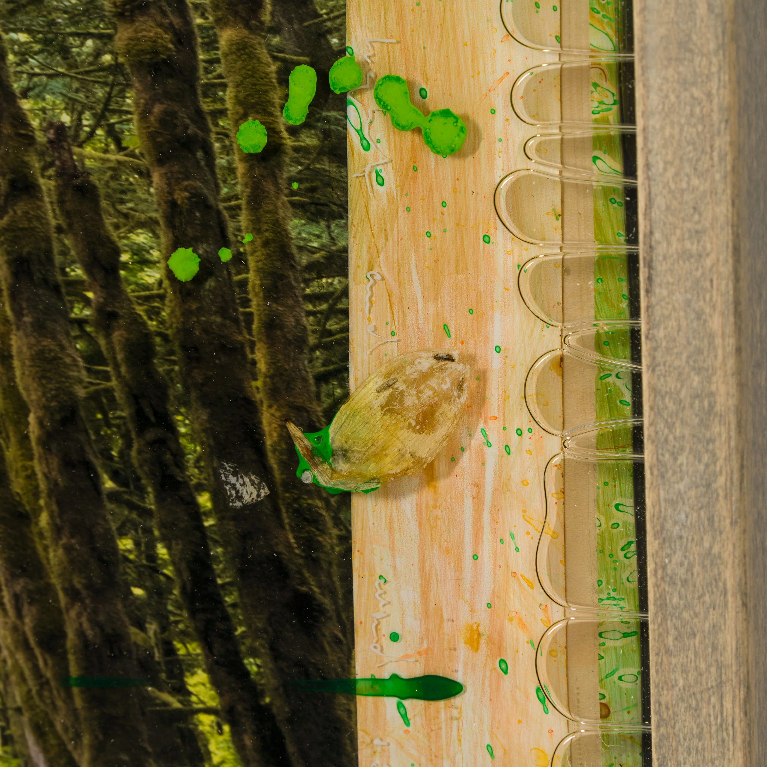 Mossy Abandon - Image 5