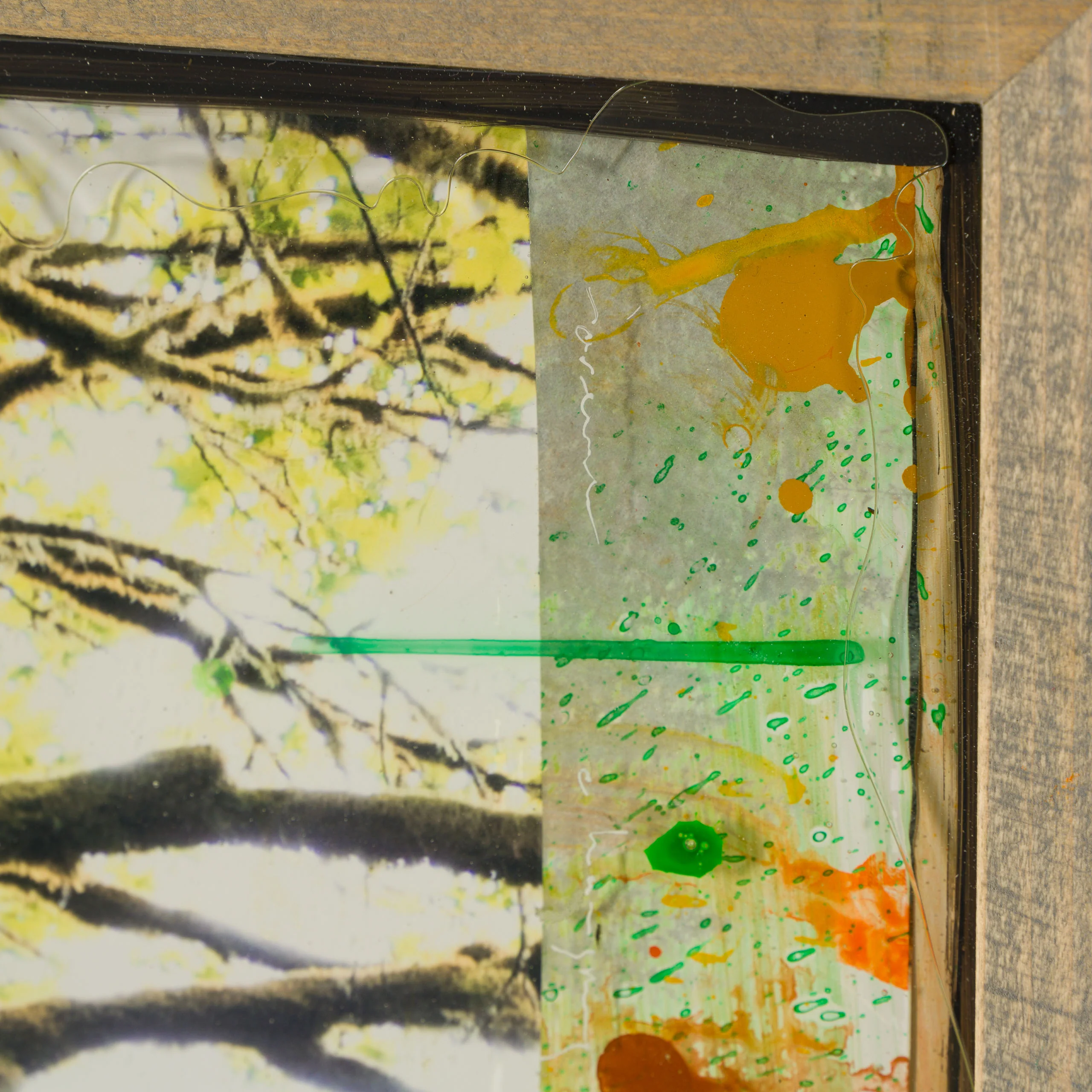 Mossy Abandon - Image 6