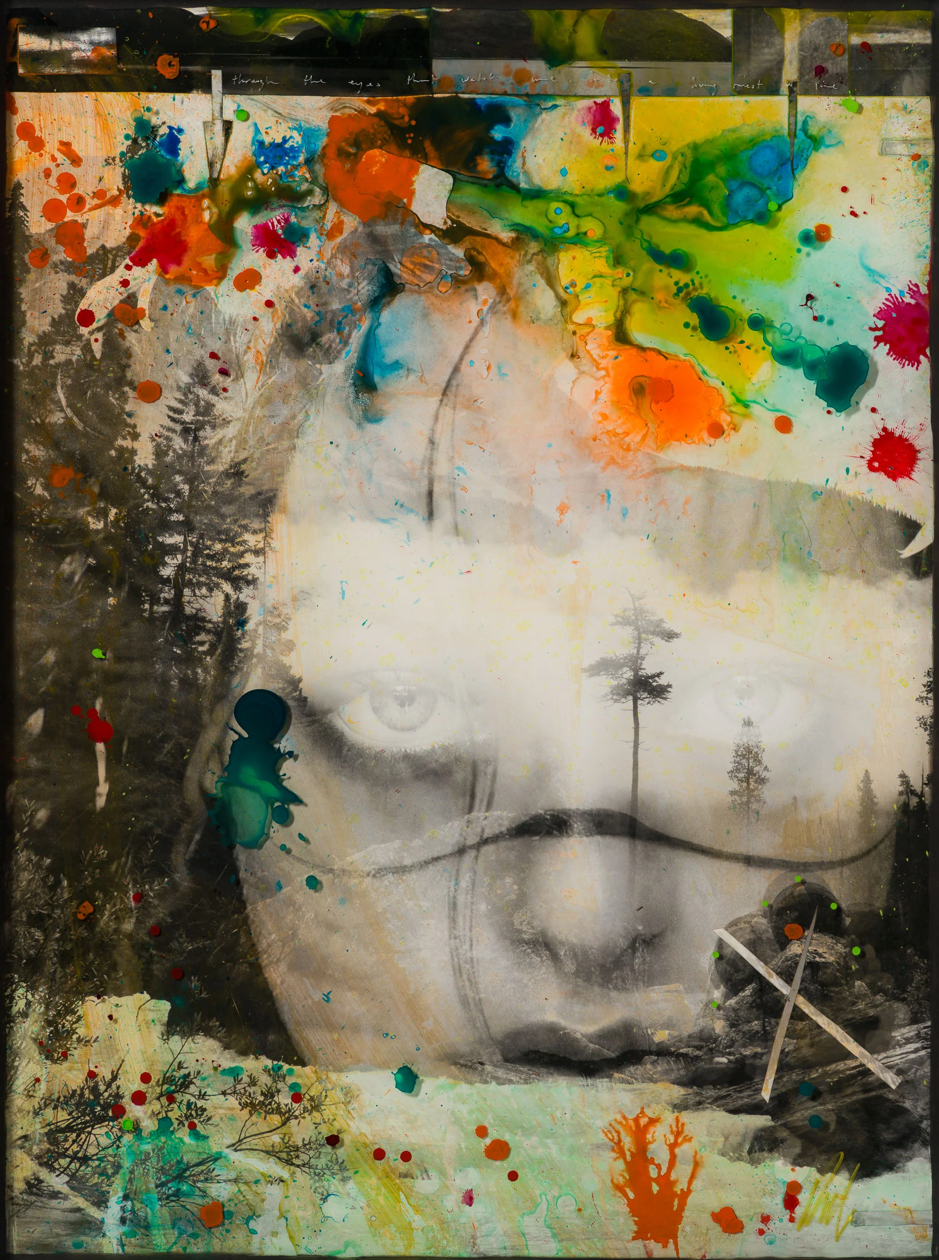 Native Land - Image 7