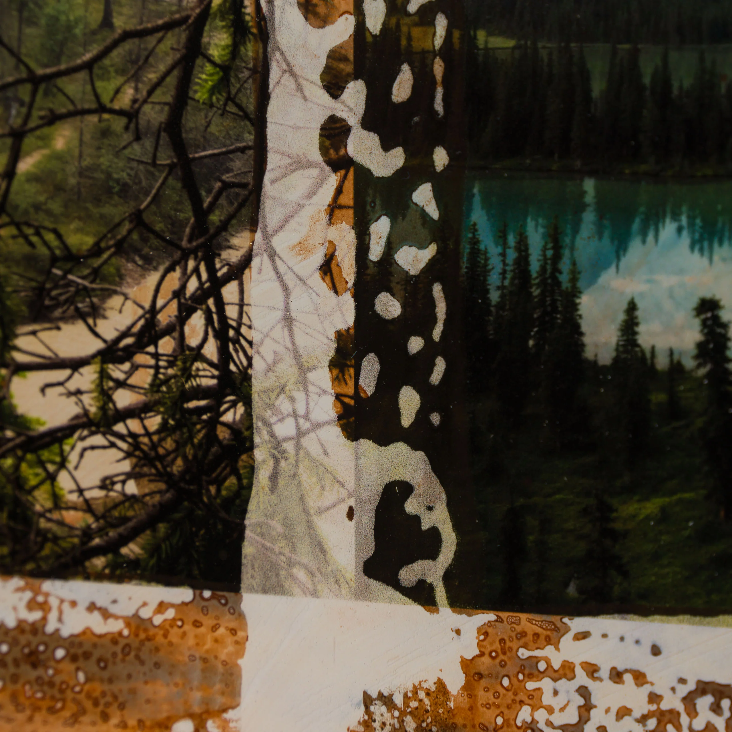 Northern Nomad - Image 3