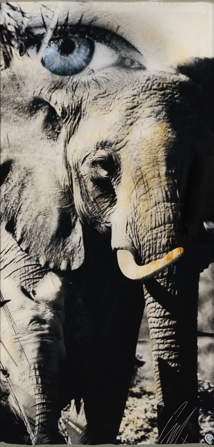 Tembo - Image 7