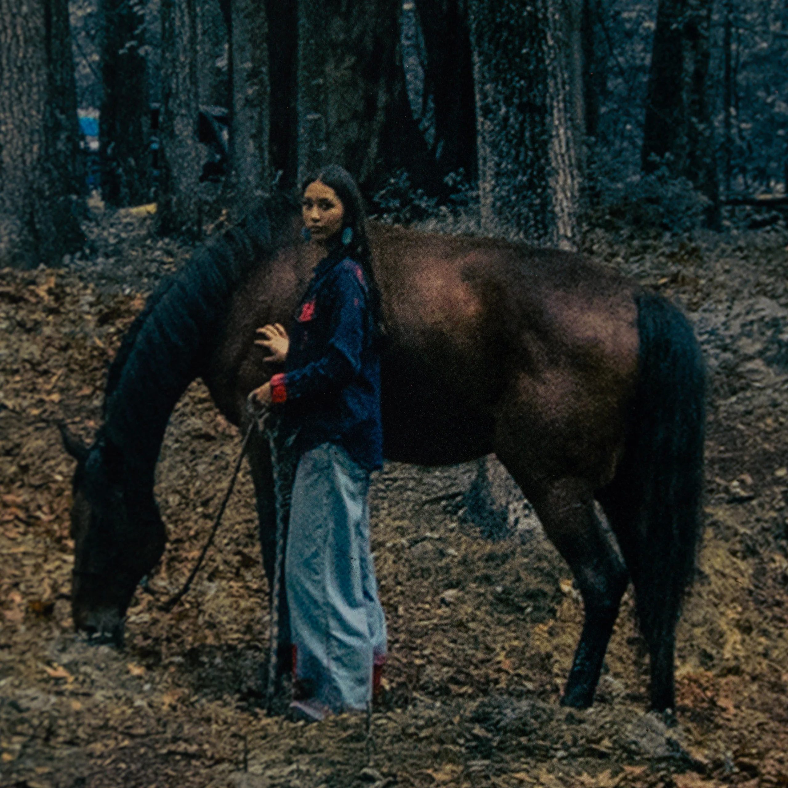 The Land Holds Us - Image 4