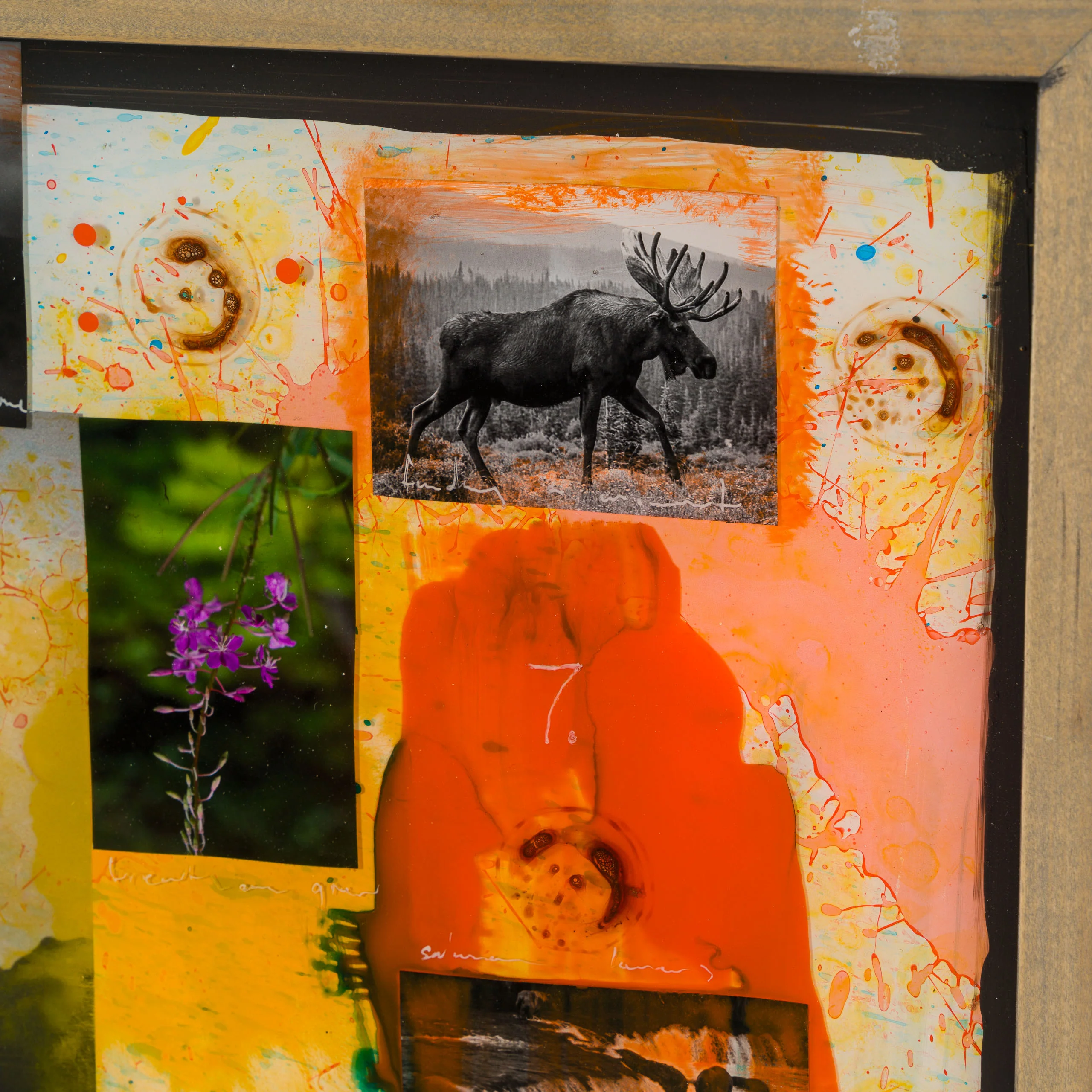 Valley Dancer - Image 5