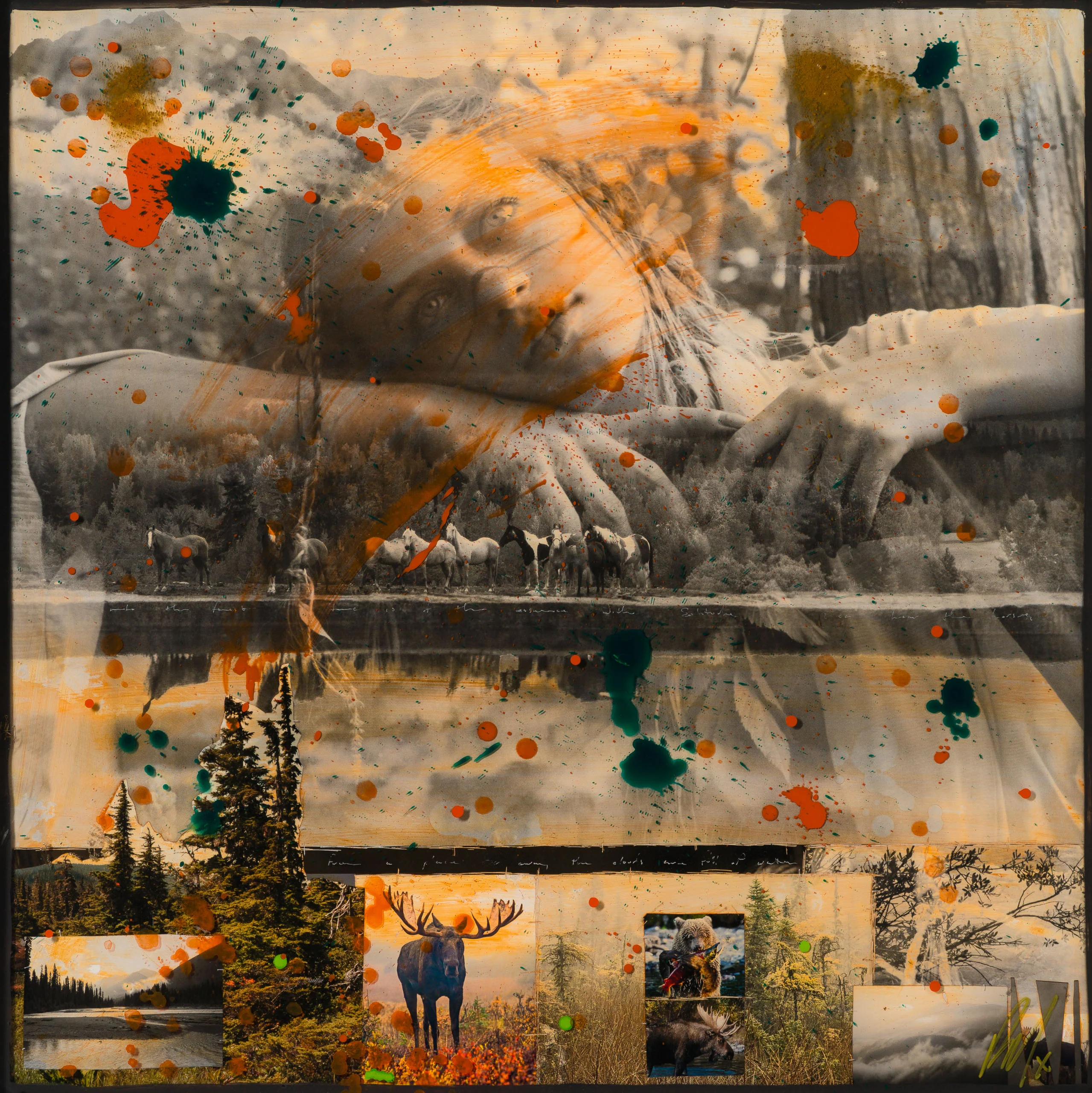 Wander In Wonder - Image 7