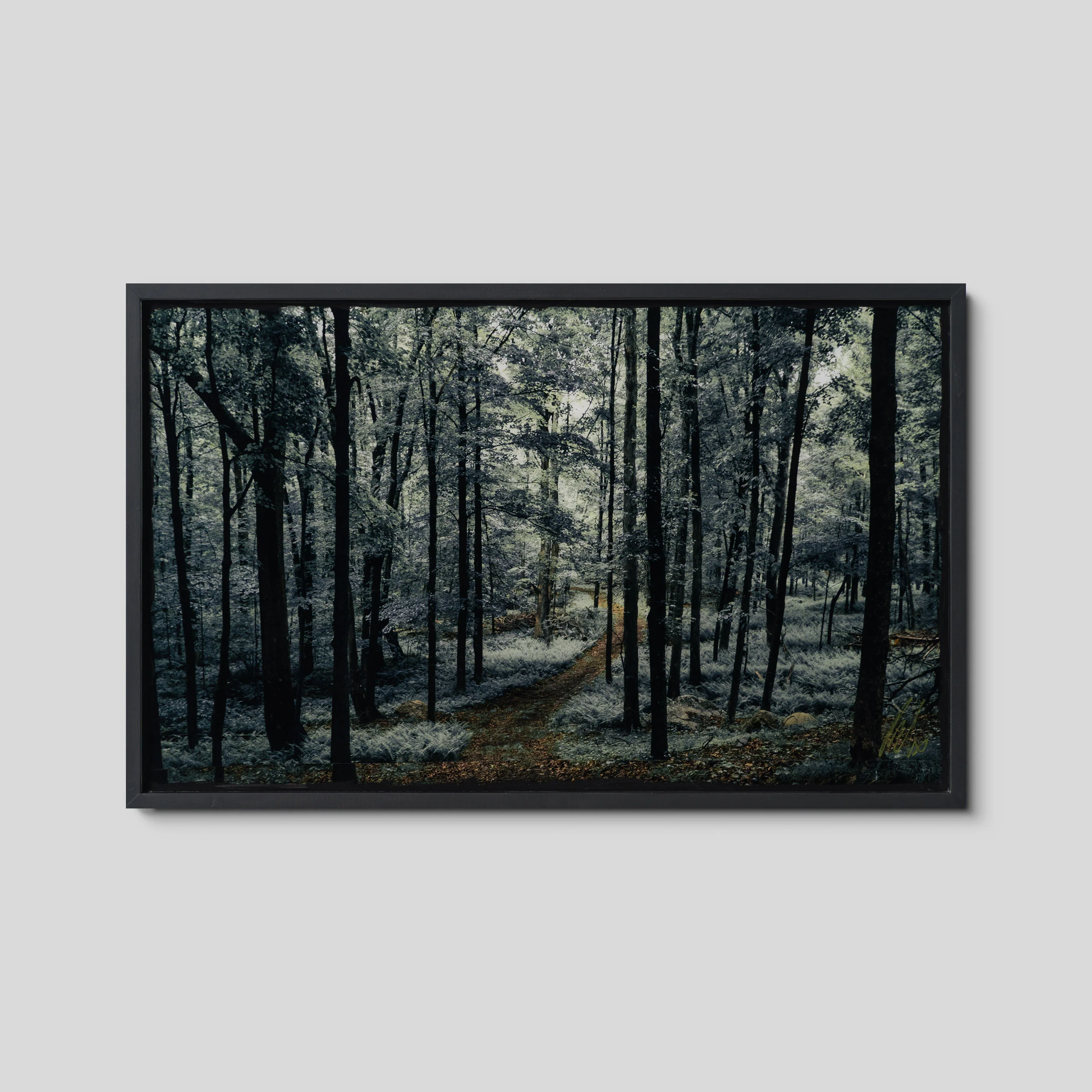Where Spirits Walk