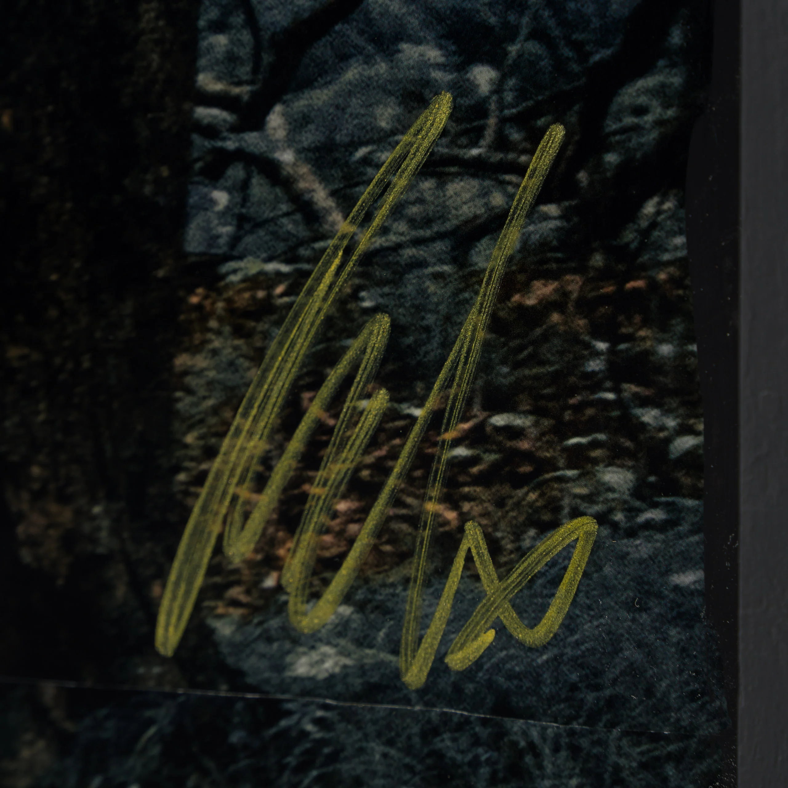 Where Spirits Walk - Image 3