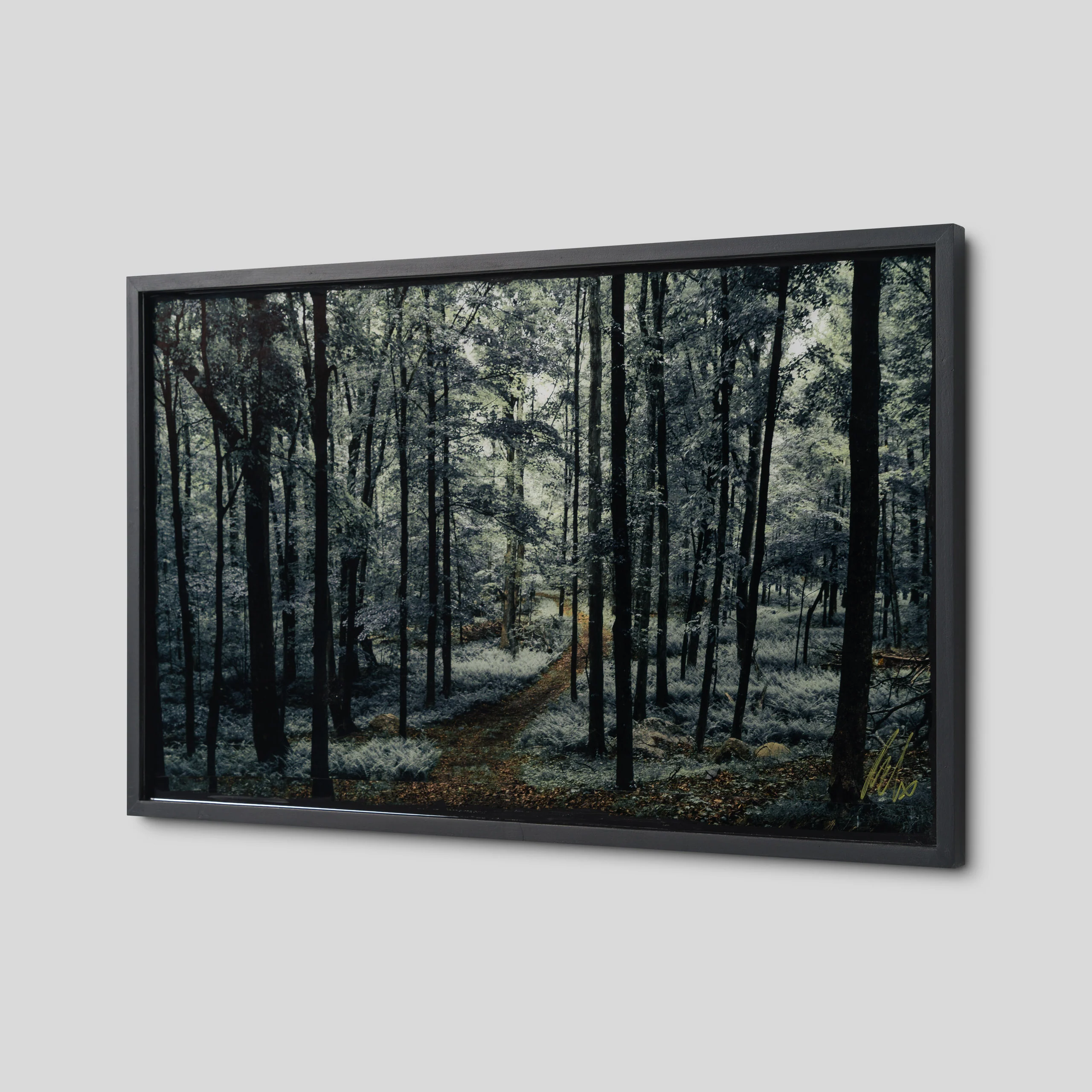 Where Spirits Walk - Image 5