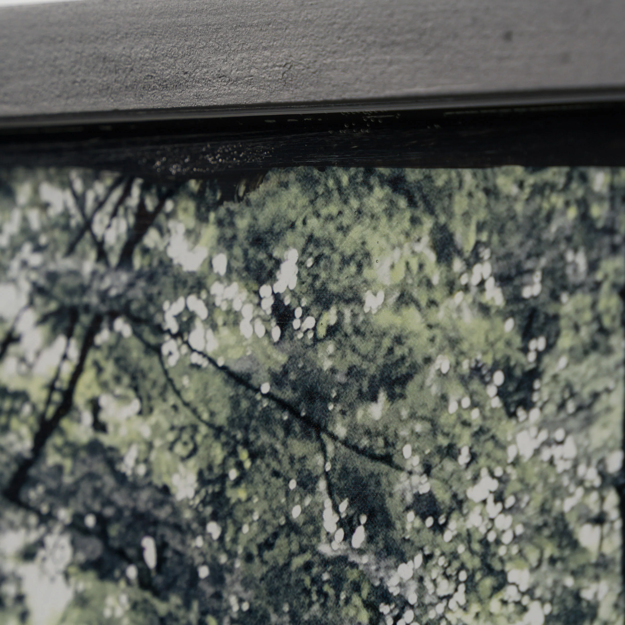 Where Spirits Walk - Image 6