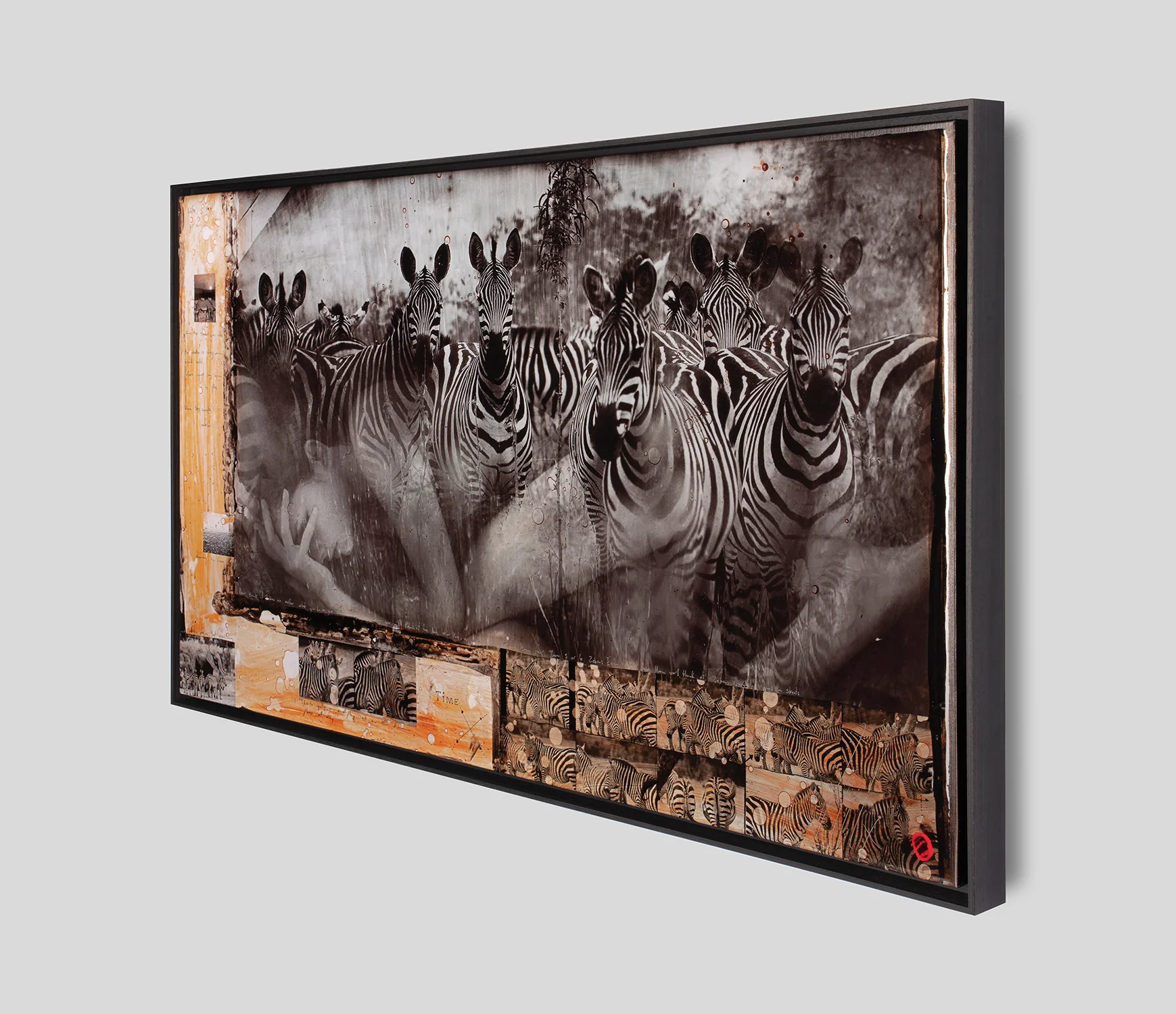 Zebras - Image 2