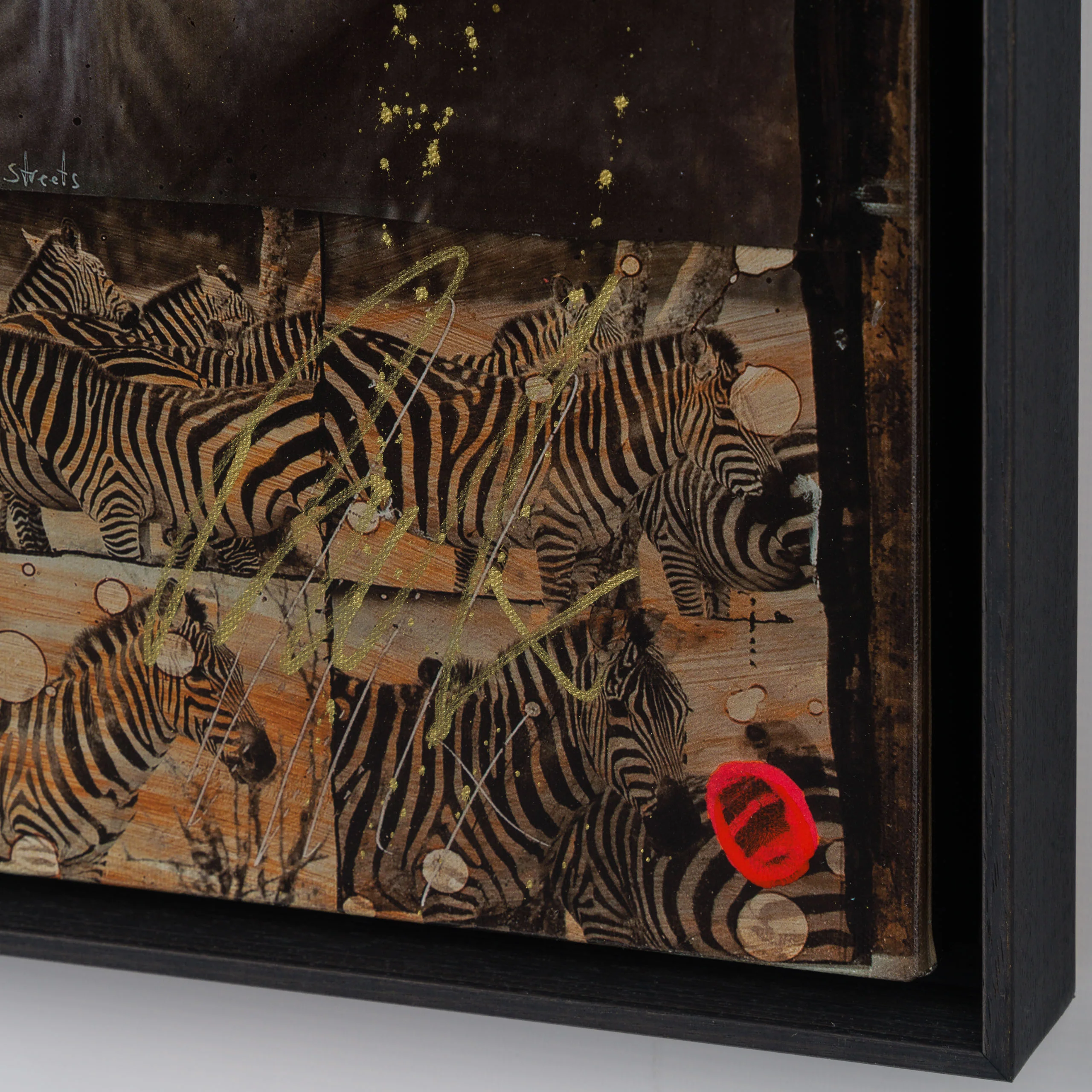 Zebras | Unique Four - Image 5