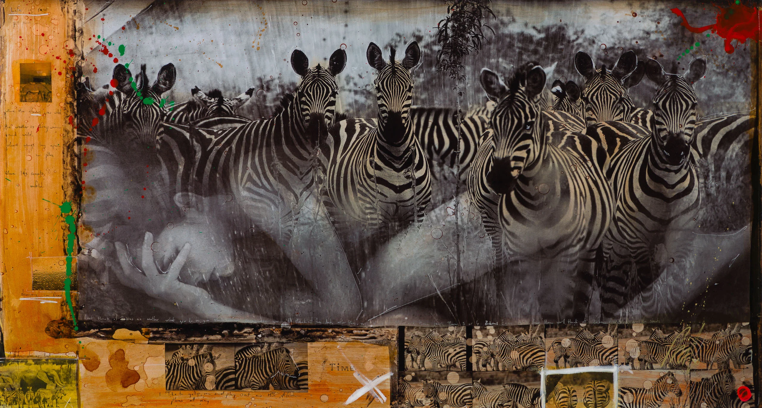 Zebras | Unique One - Image 7