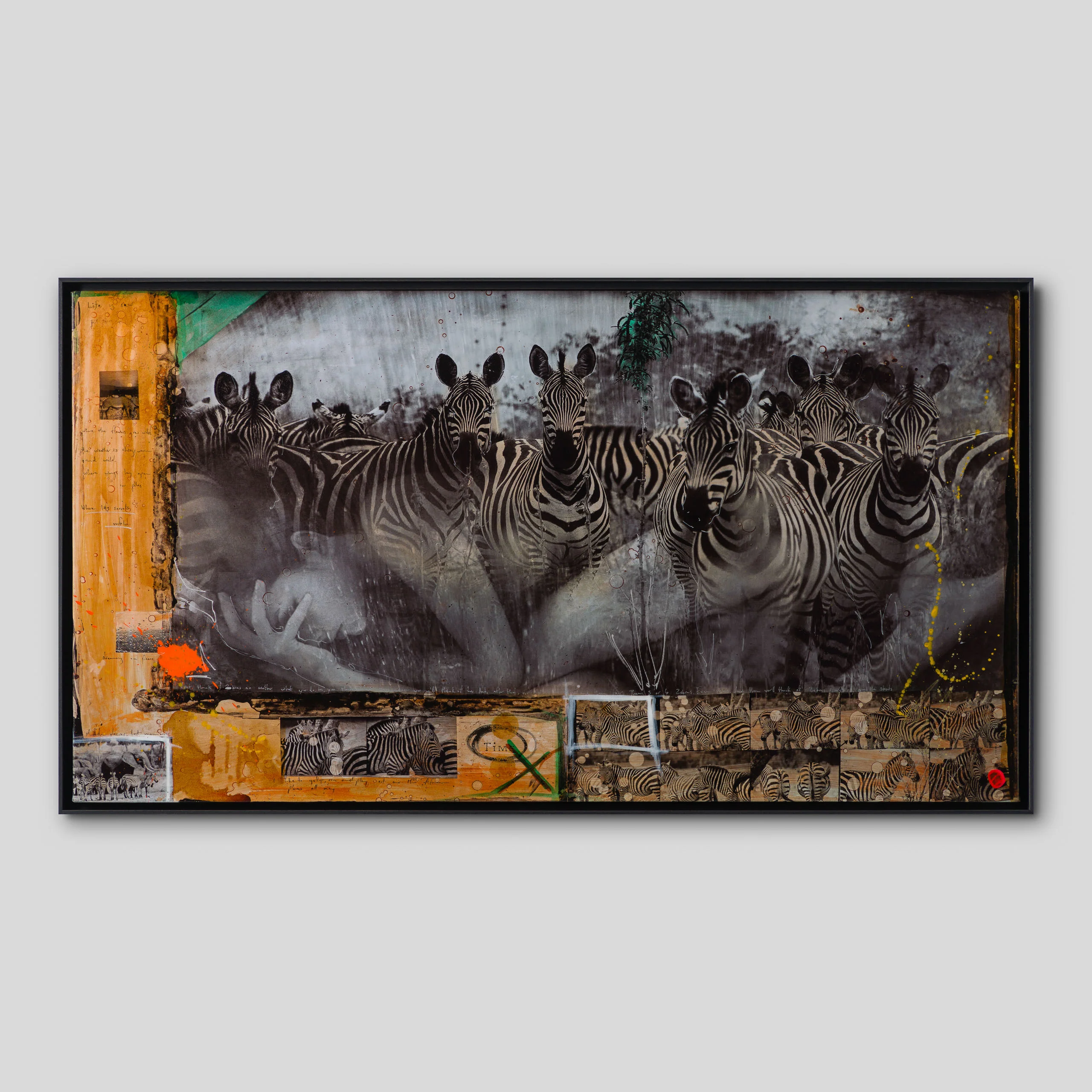 Zebras | Unique Three