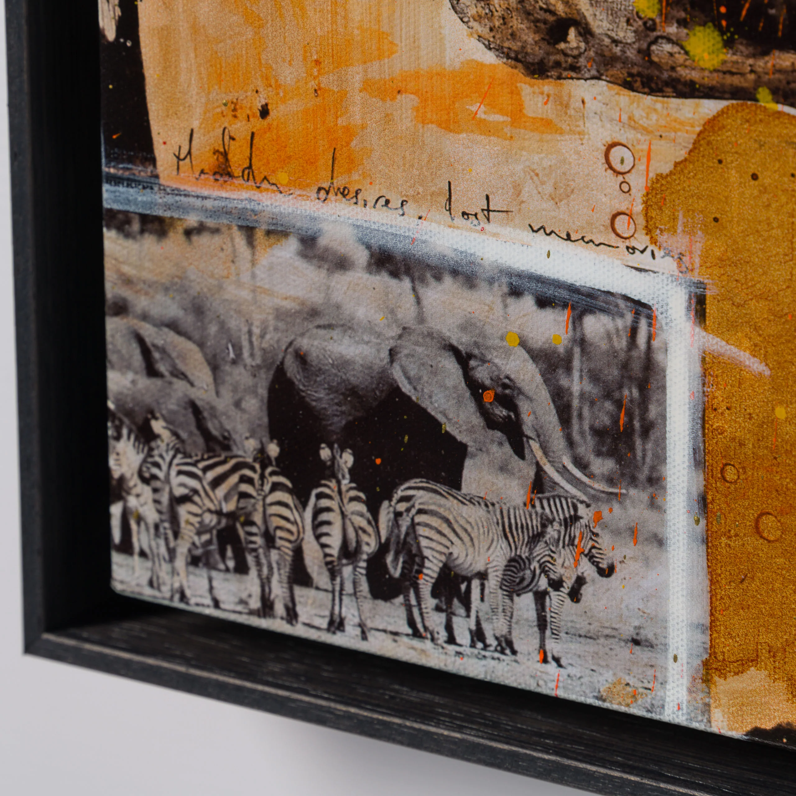 Zebras | Unique Three - Image 5