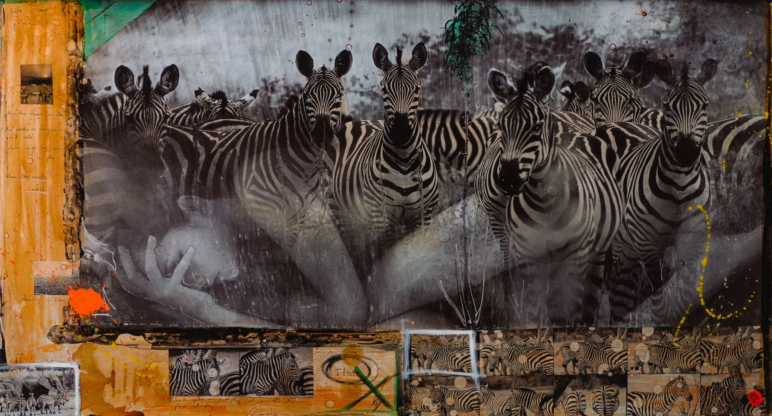 Zebras | Unique Three - Image 7