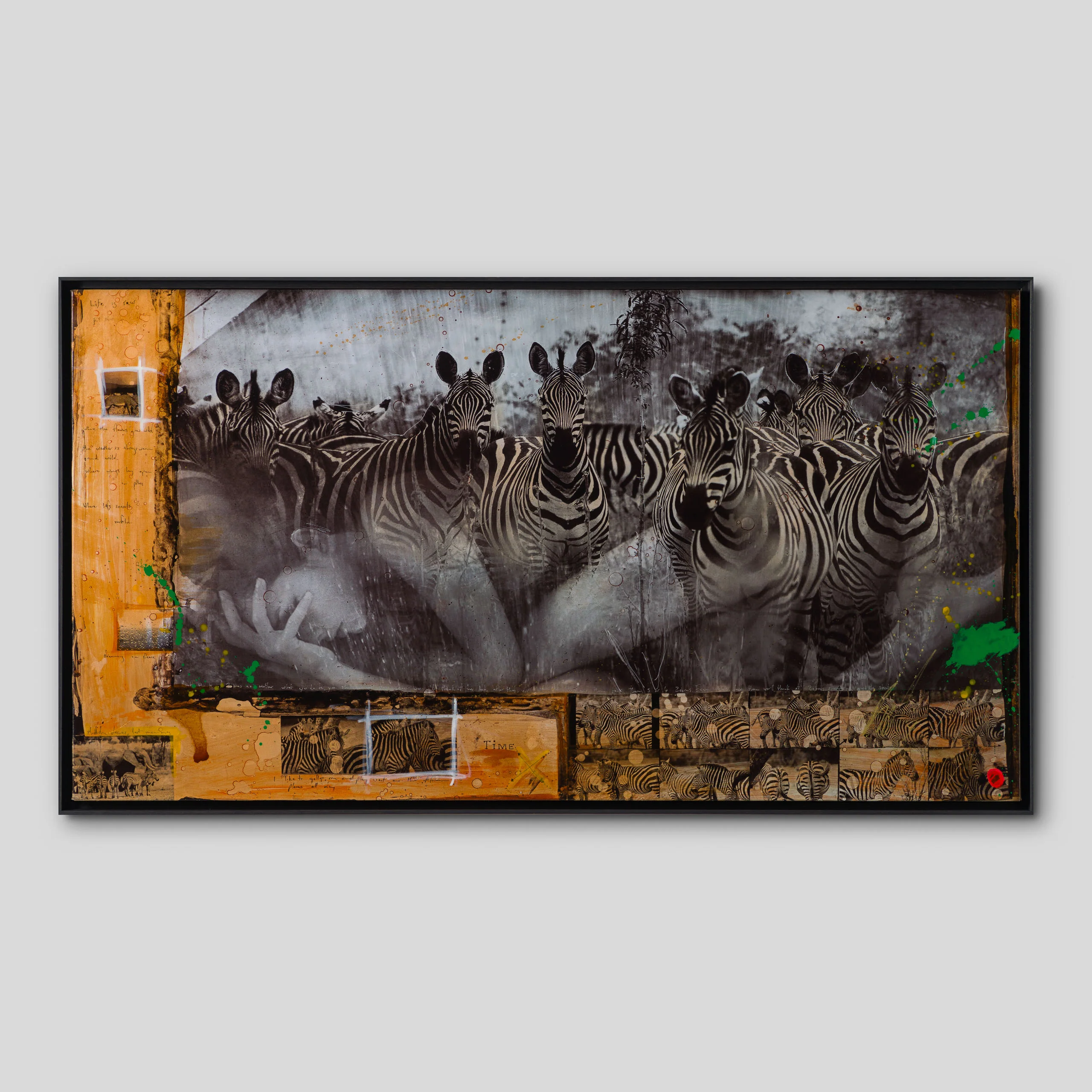 Zebras | Unique Two