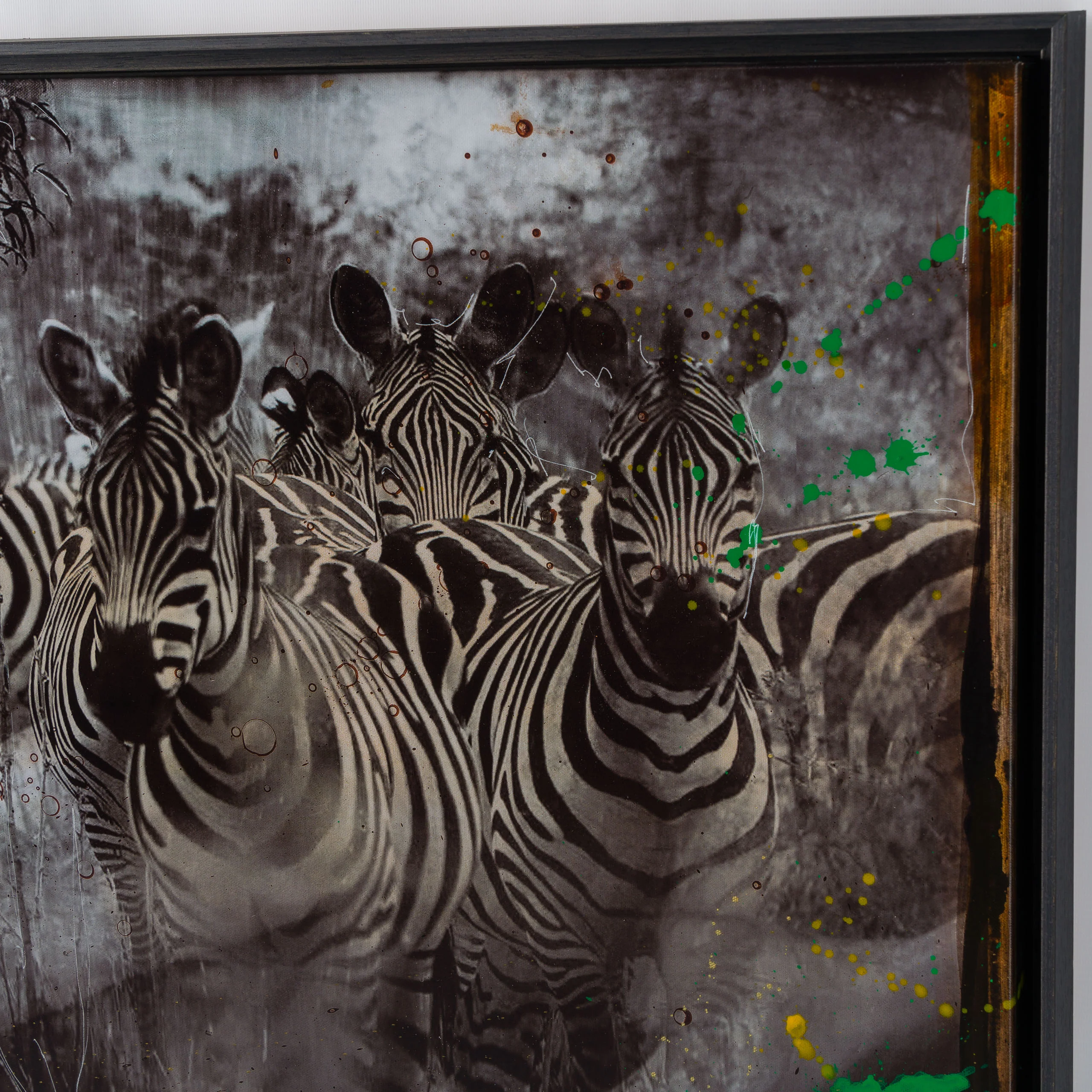Zebras | Unique Two - Image 4