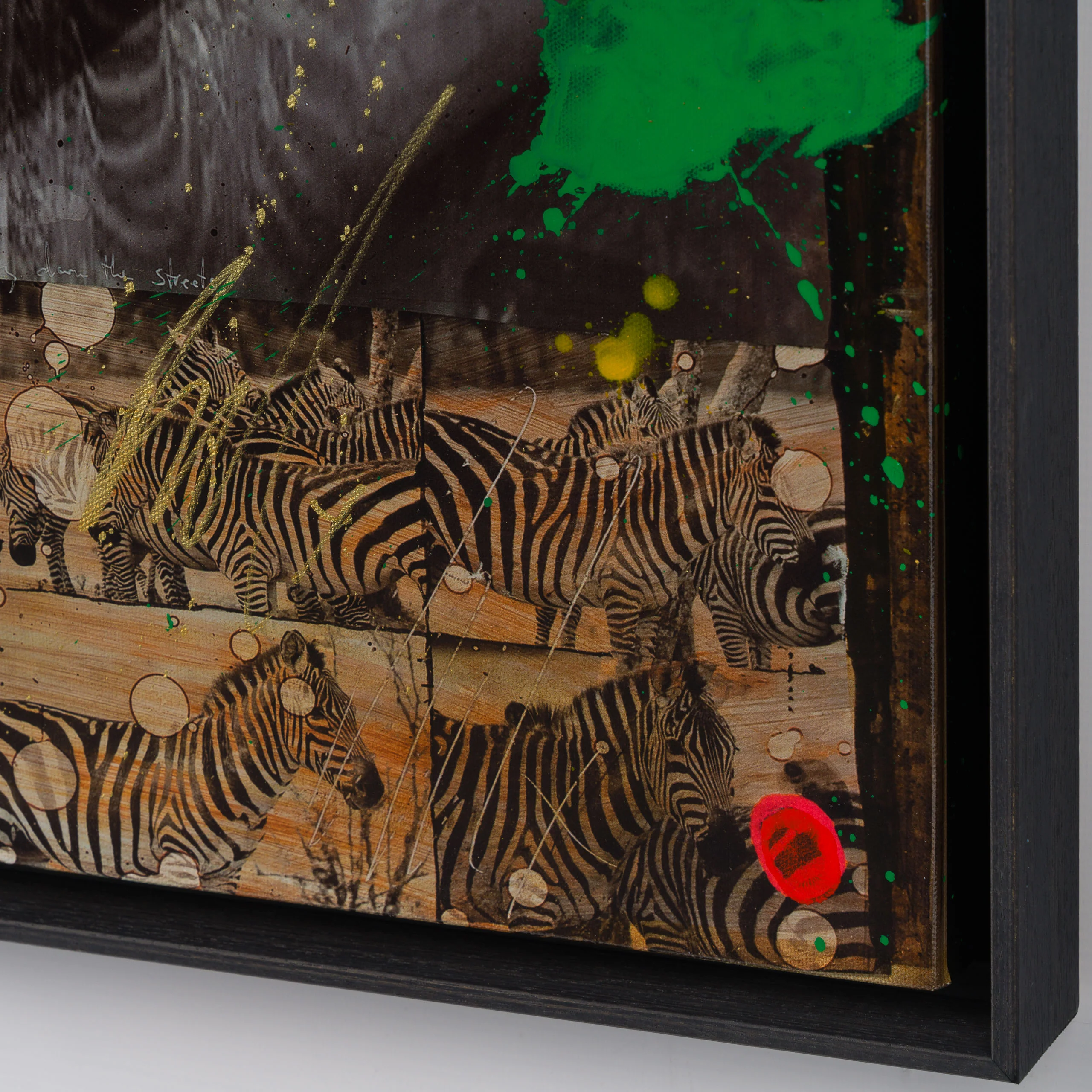 Zebras | Unique Two - Image 5