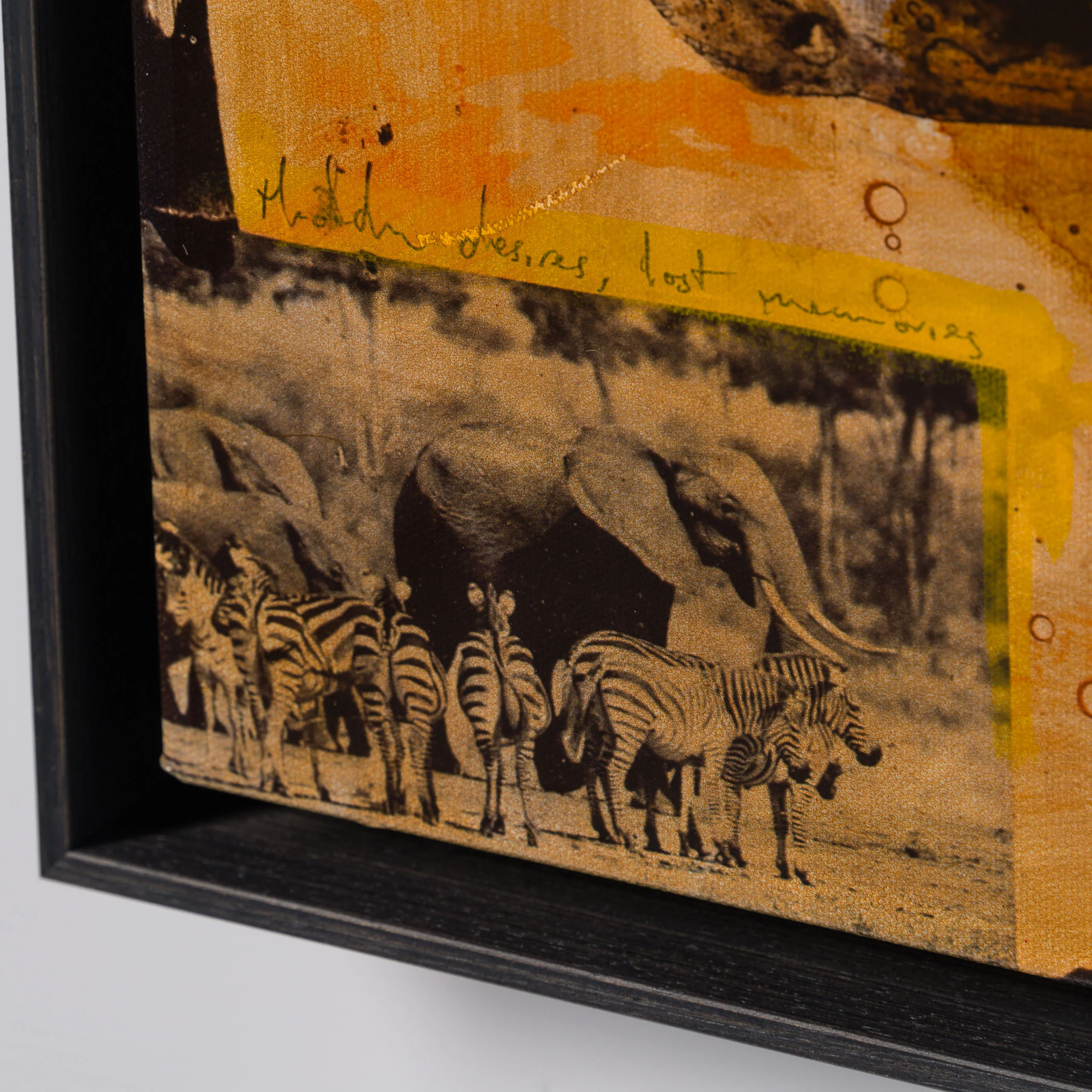 Zebras | Unique Two - Image 6