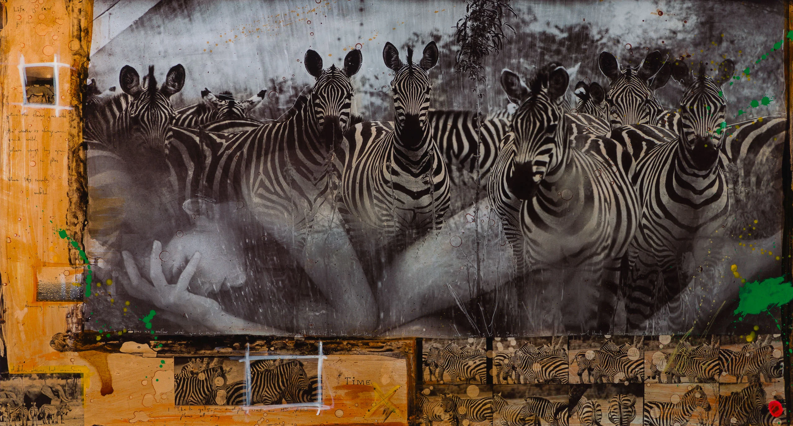 Zebras | Unique Two - Image 7