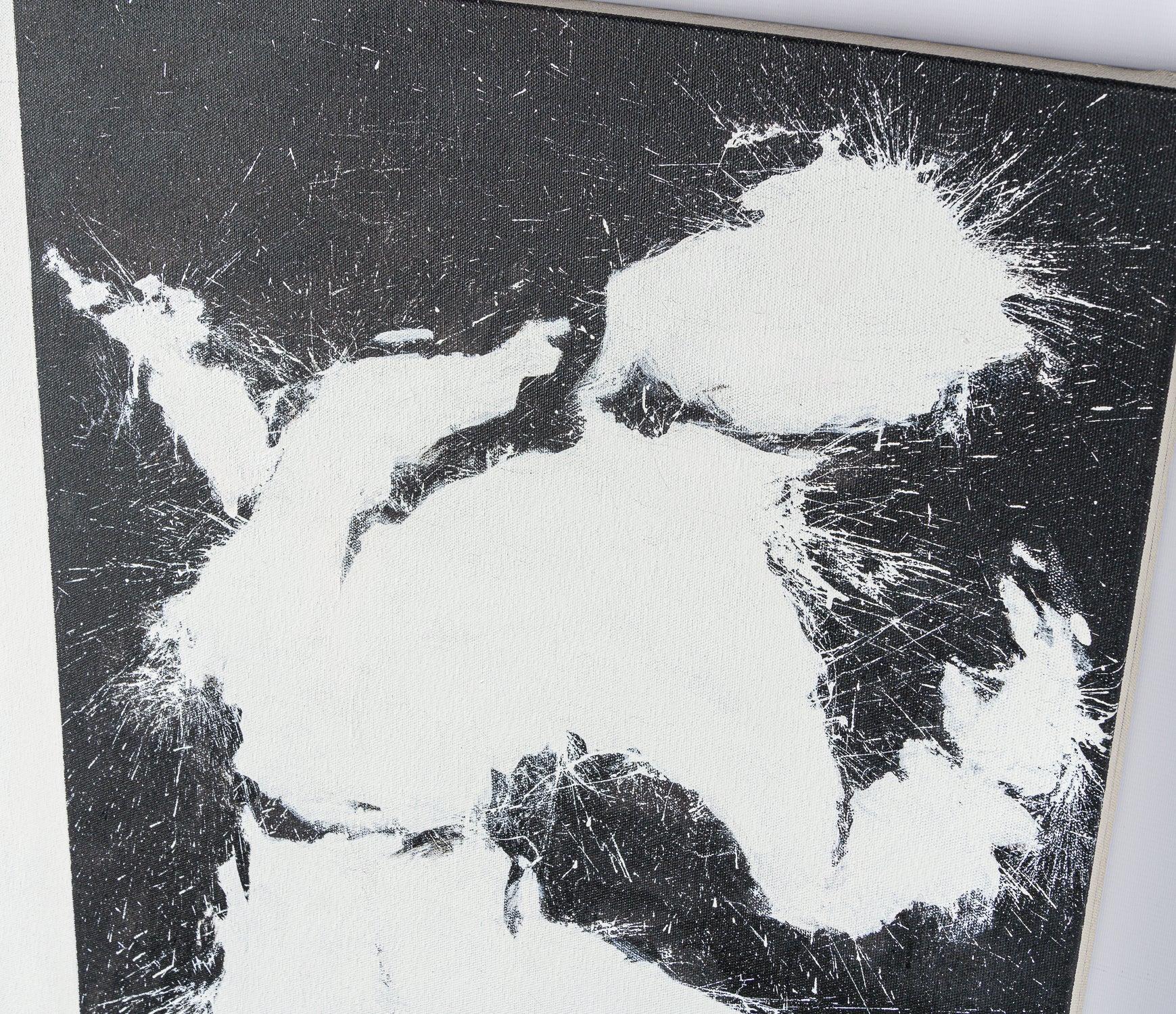 White Jumping Shadowman - Image 6