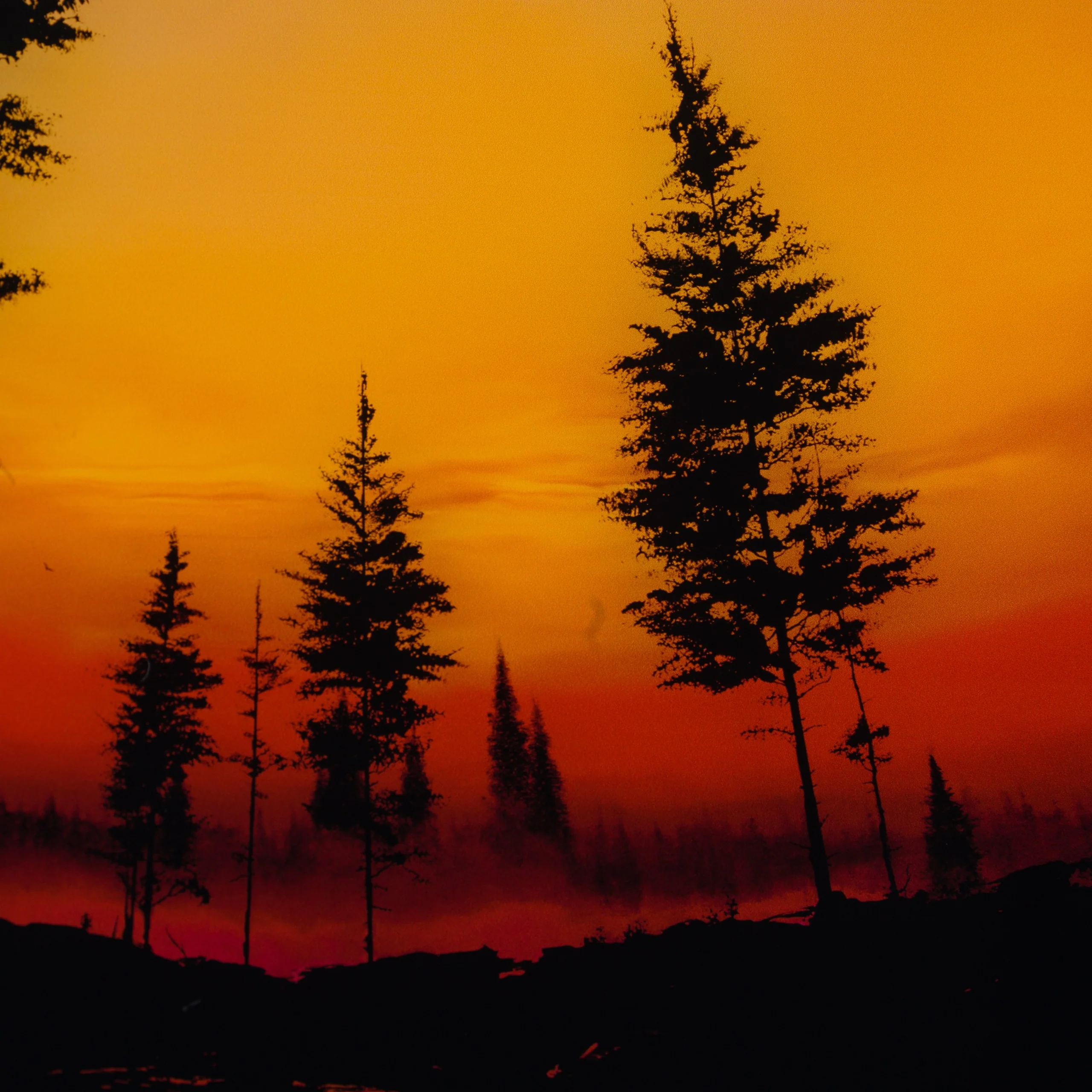 Day Turns Night - Image 3