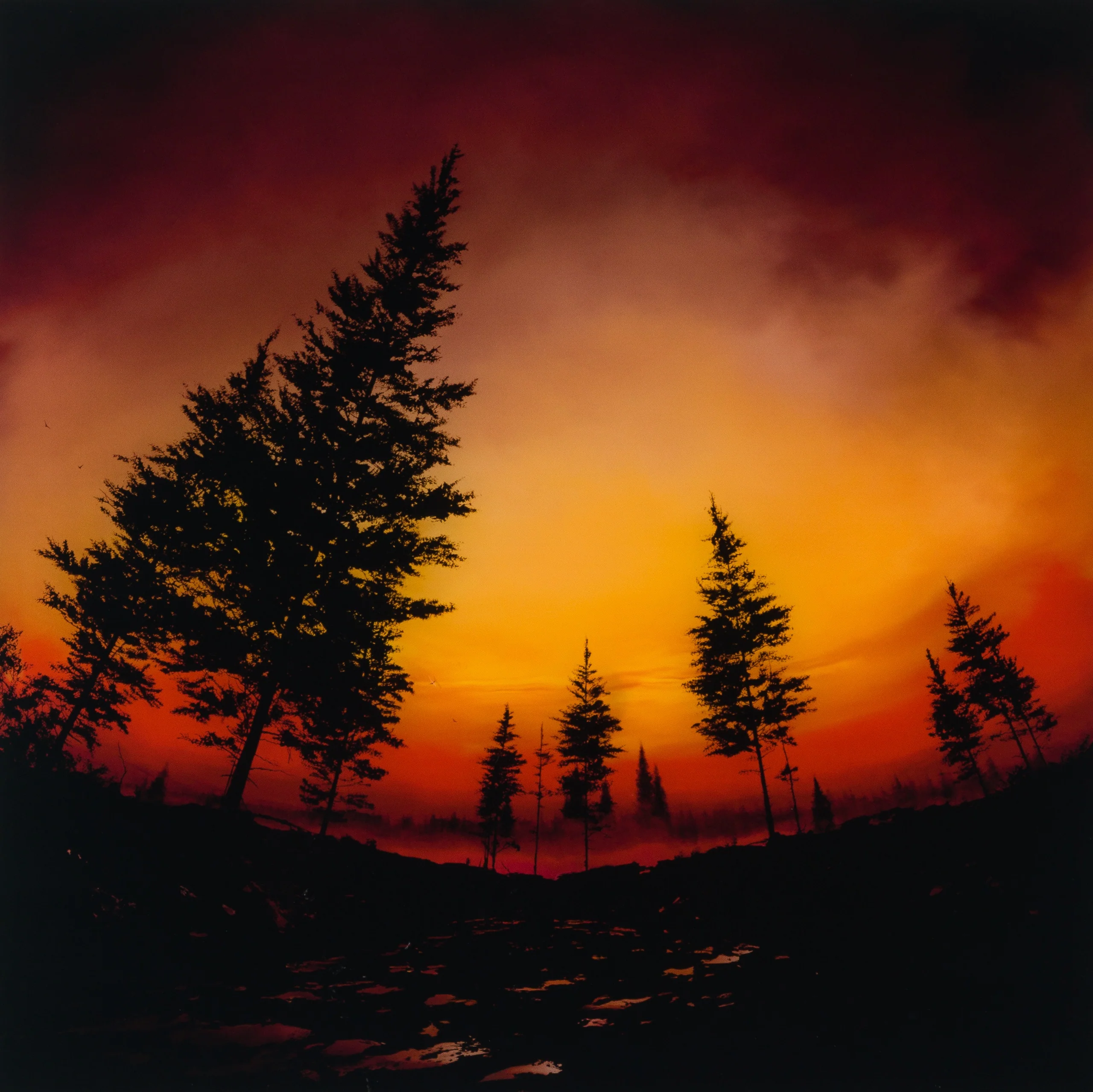 Day Turns Night - Image 6