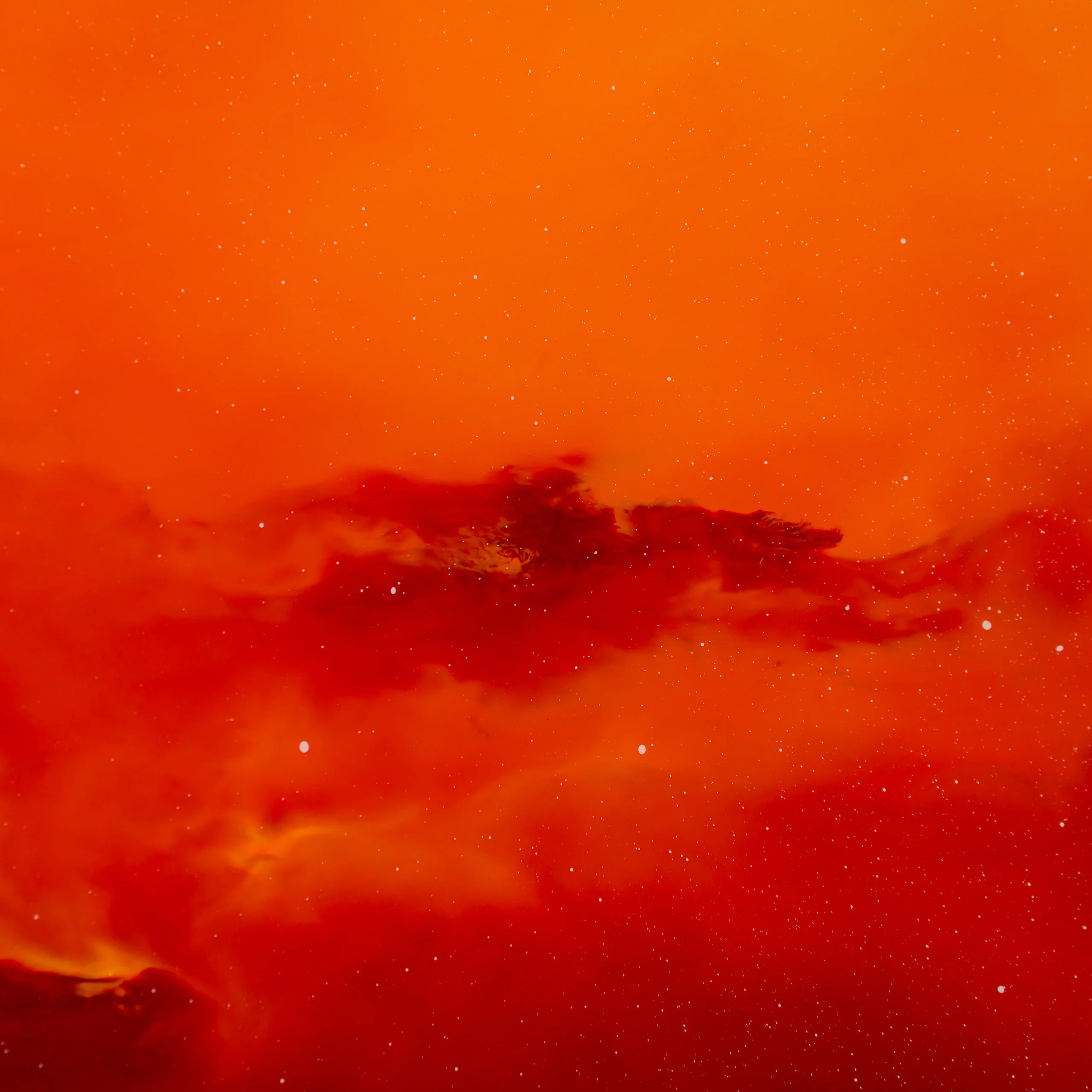 Epiphany - Image 6