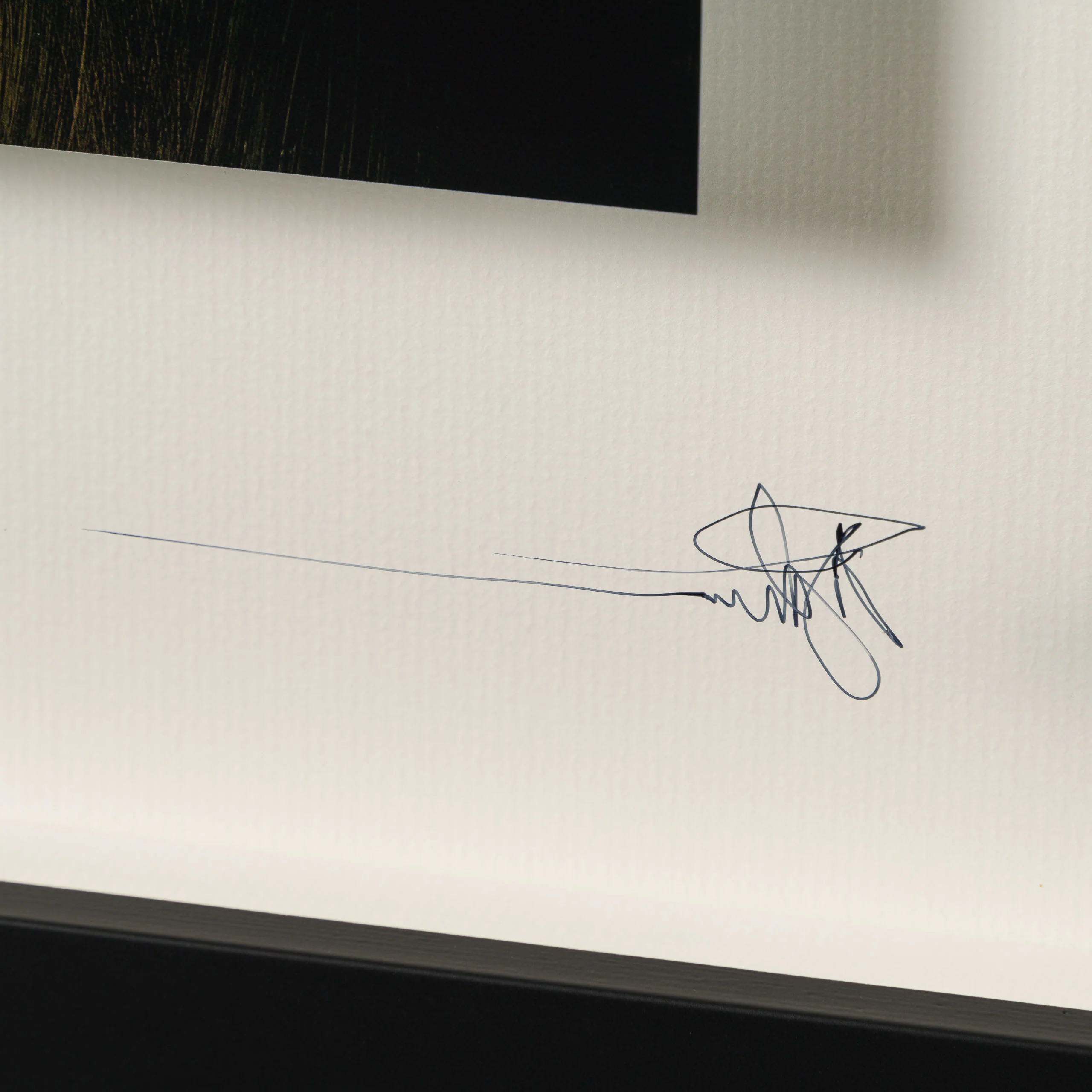 Finding Home - Image 3