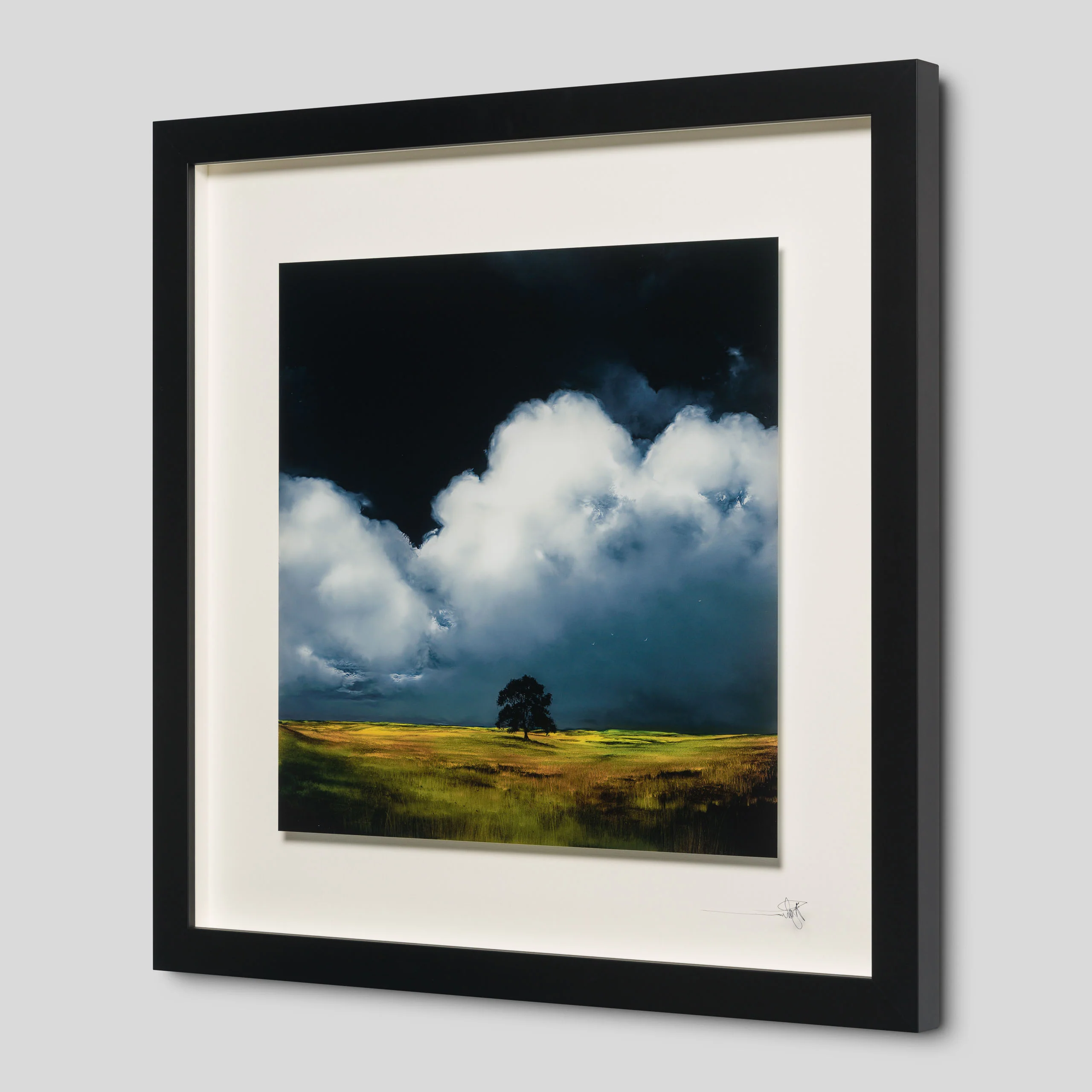 Finding Home - Image 5