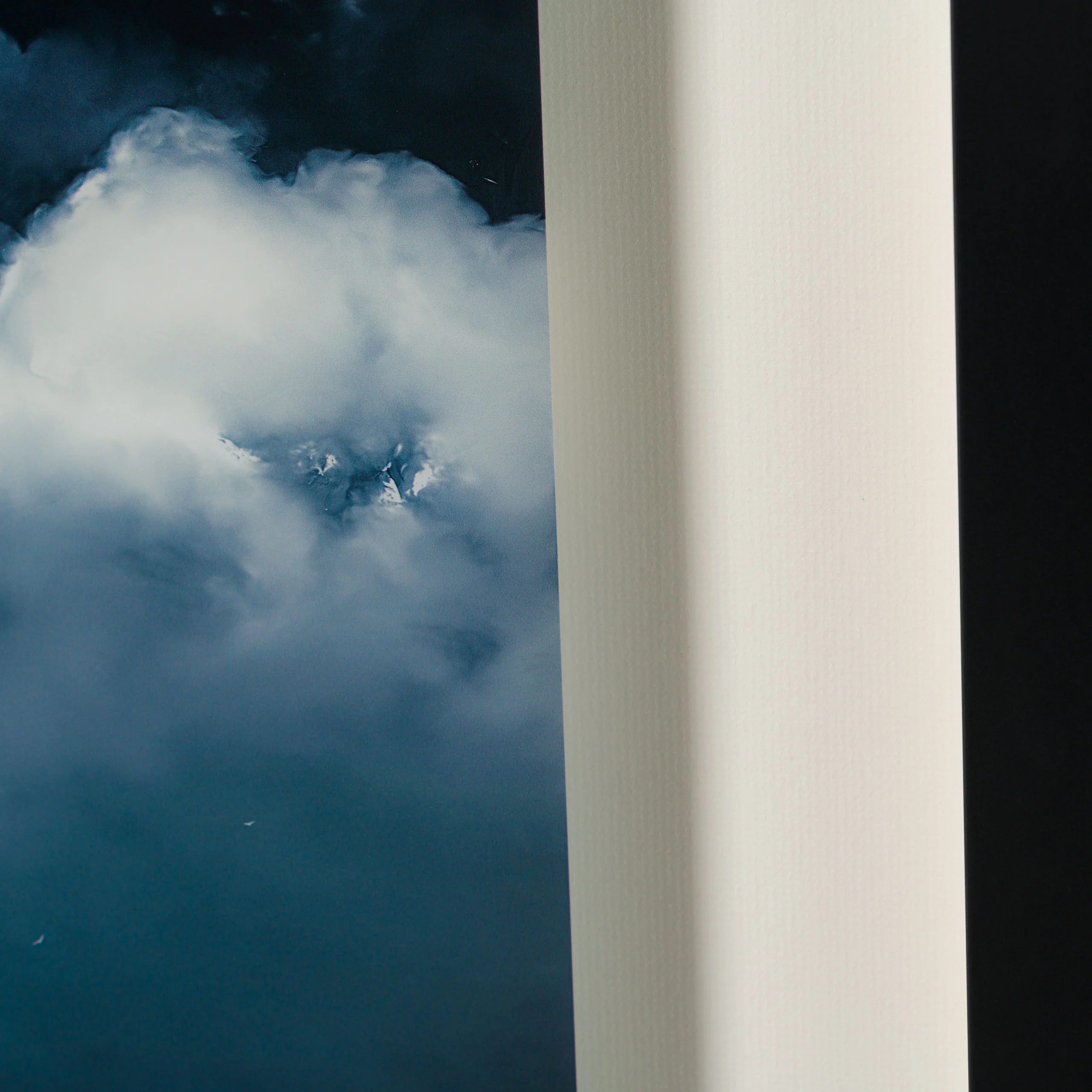 Finding Home - Image 6