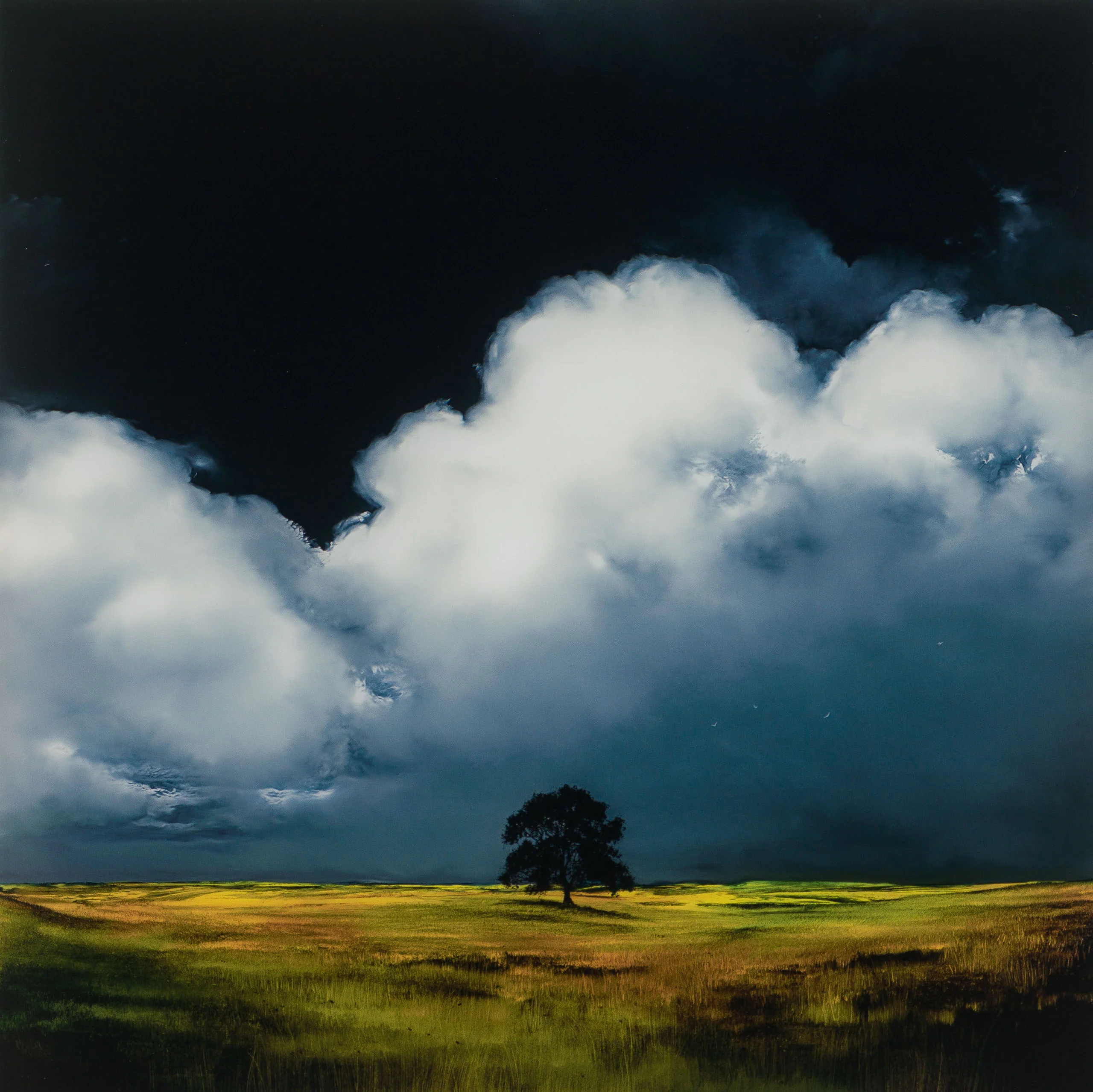 Finding Home - Image 7