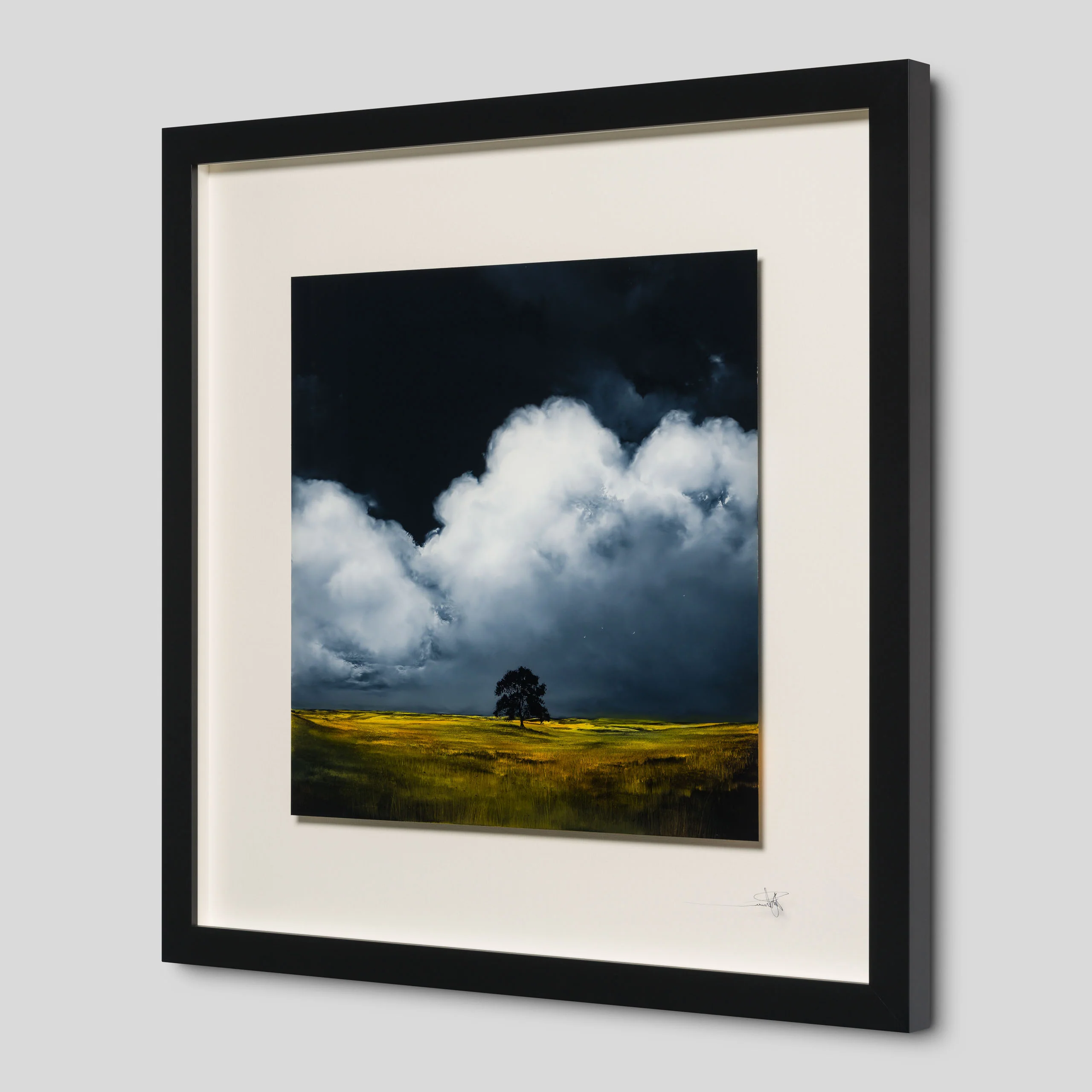 Finding Home - Image 2