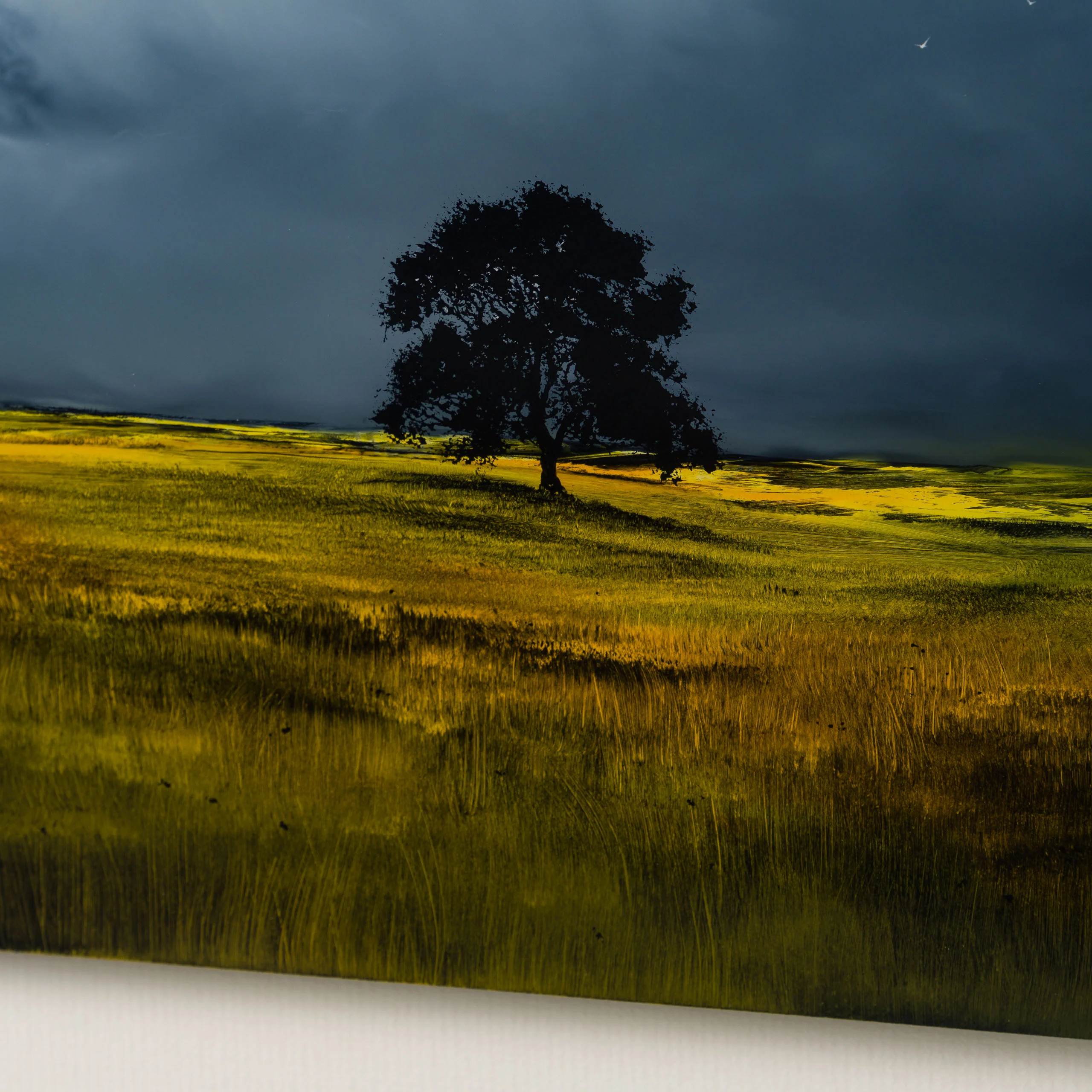 Finding Home - Image 3