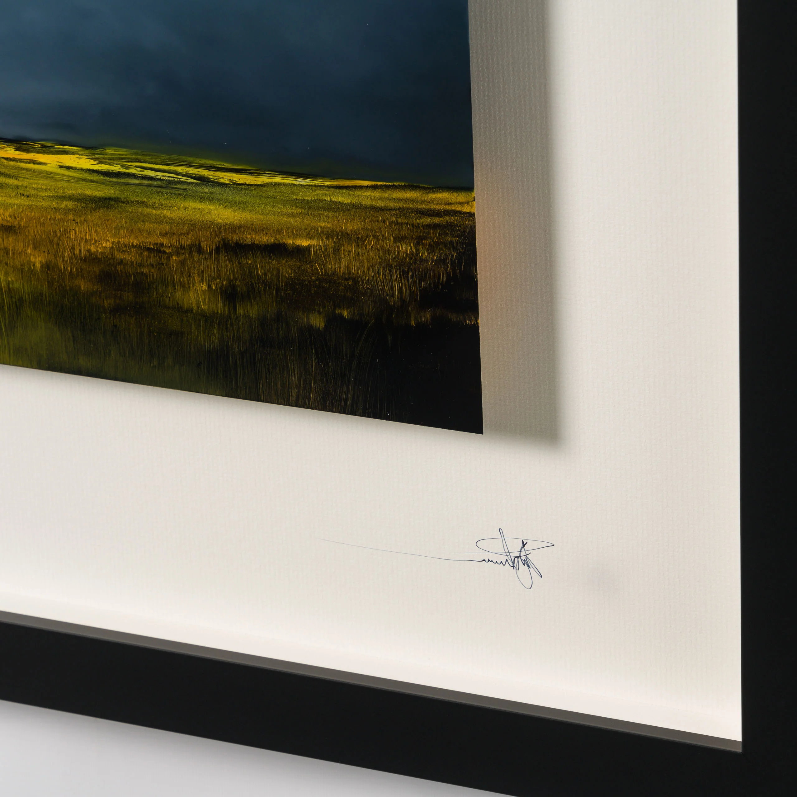 Finding Home - Image 4